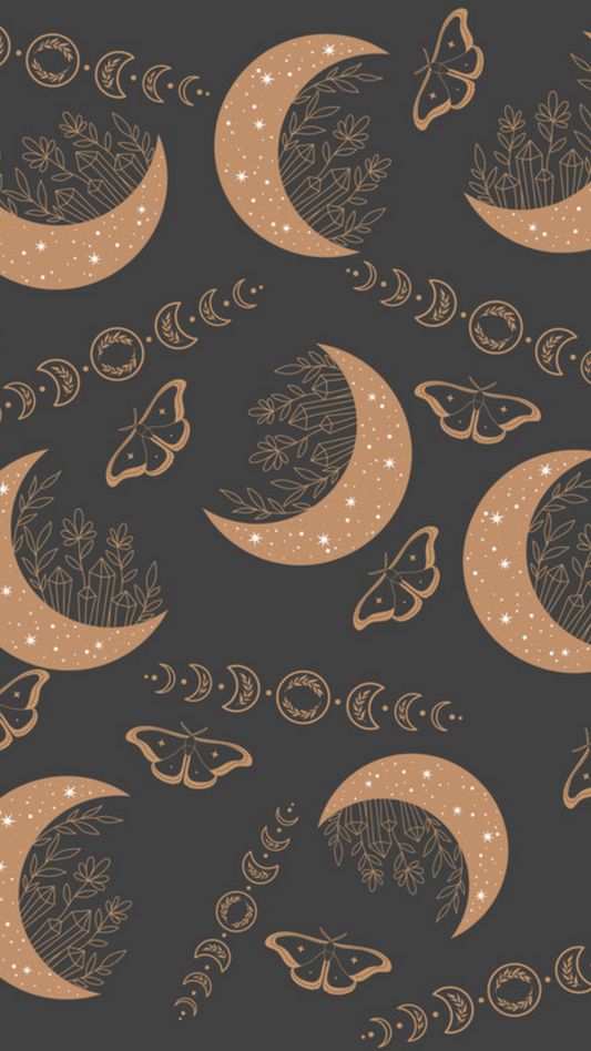 Boho Nights dog collar and leash set featuring a celestial-themed design with moons, moths, and crystals, plus a FREE Easy Tie Bandana, displayed in a chic boho style.