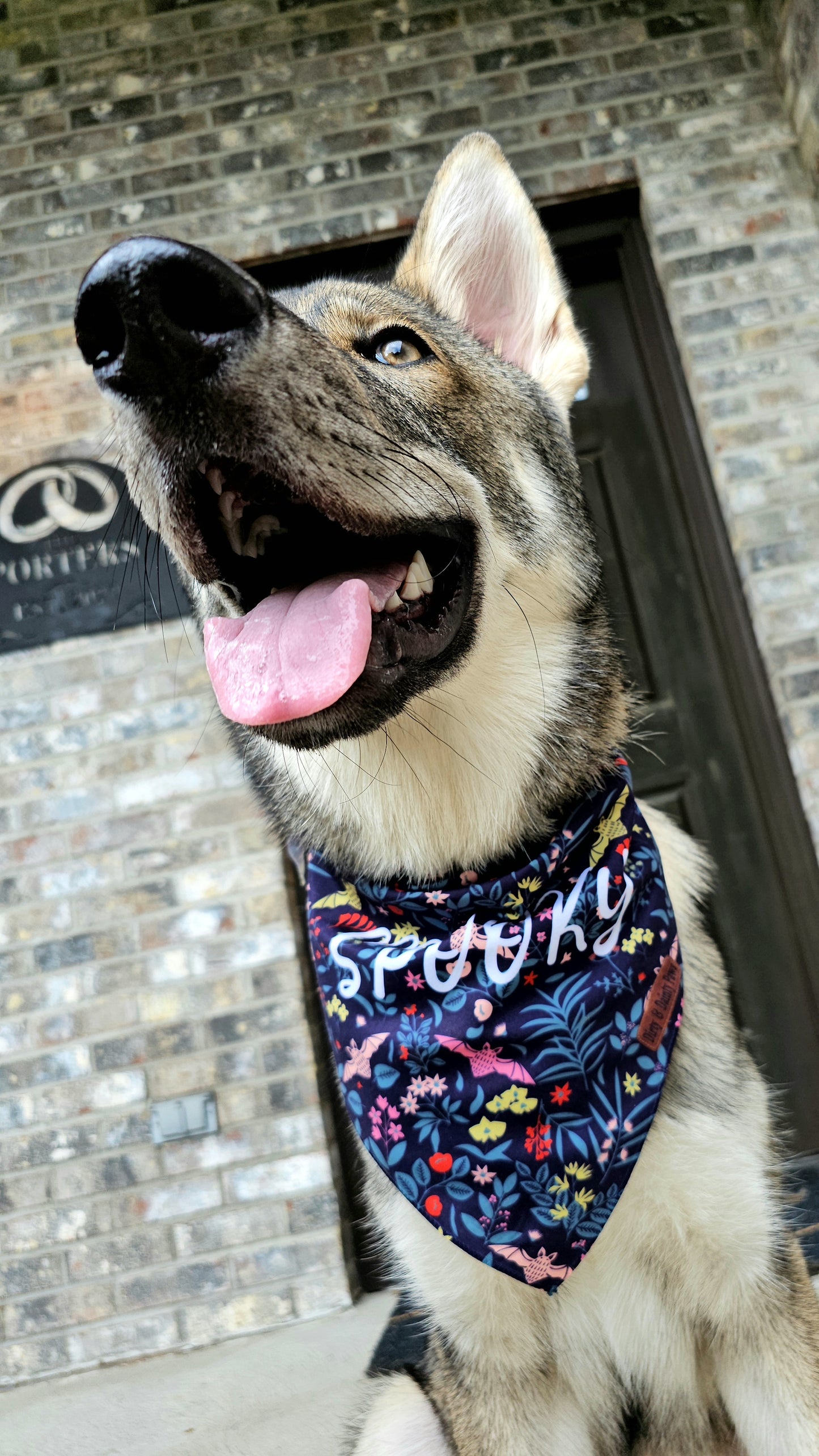 Spooky Bat Garden Dog Bandana