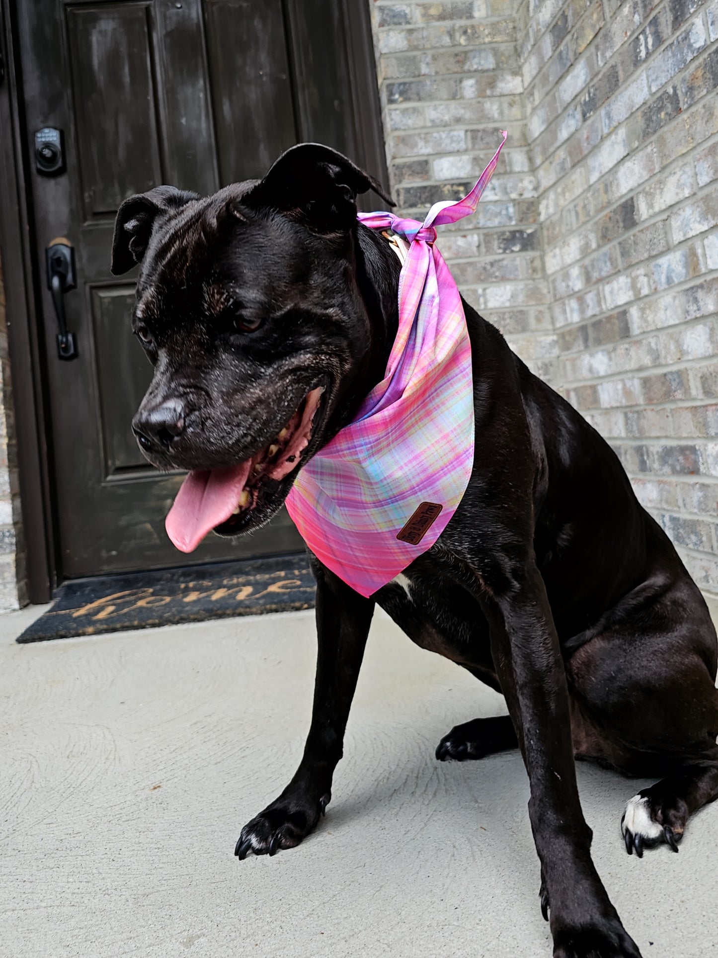 Fall Sunset Plaid Dog Bandana