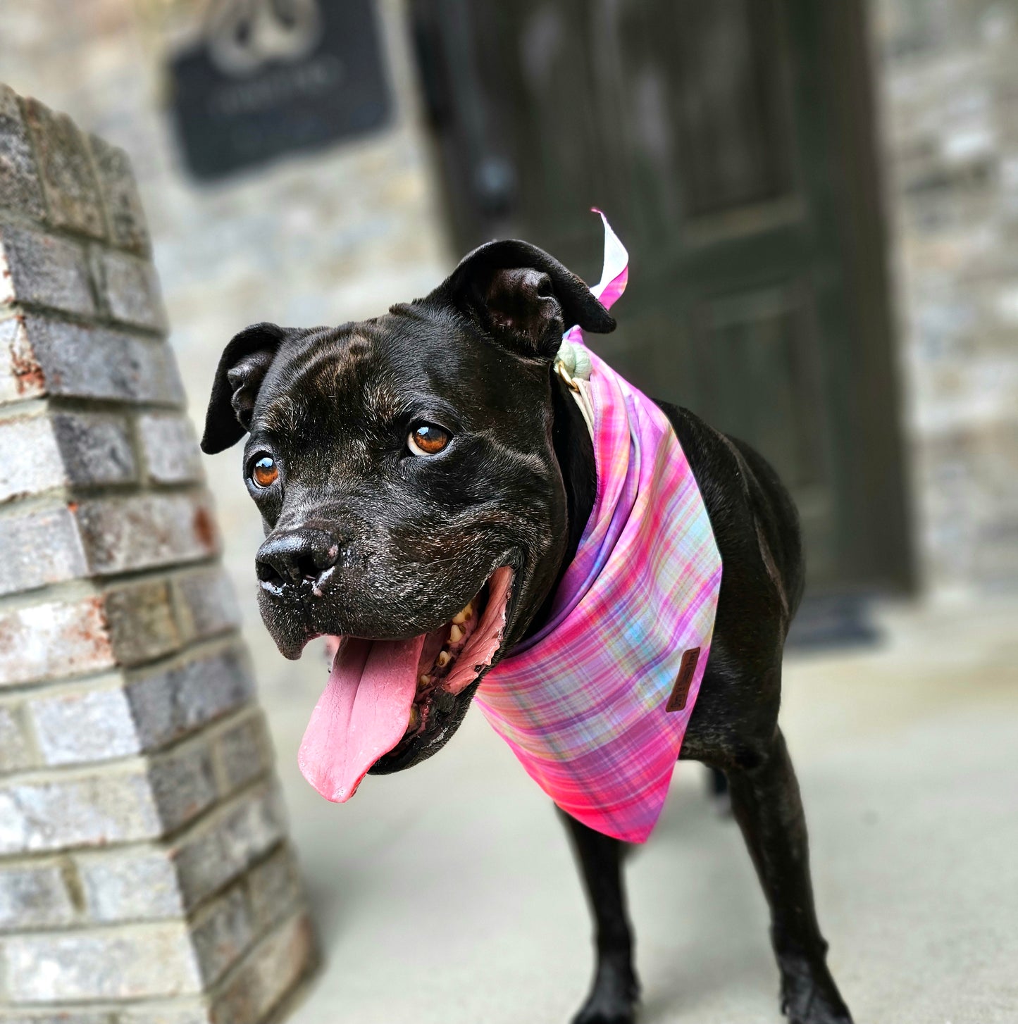 Fall Sunset Plaid Dog Bandana