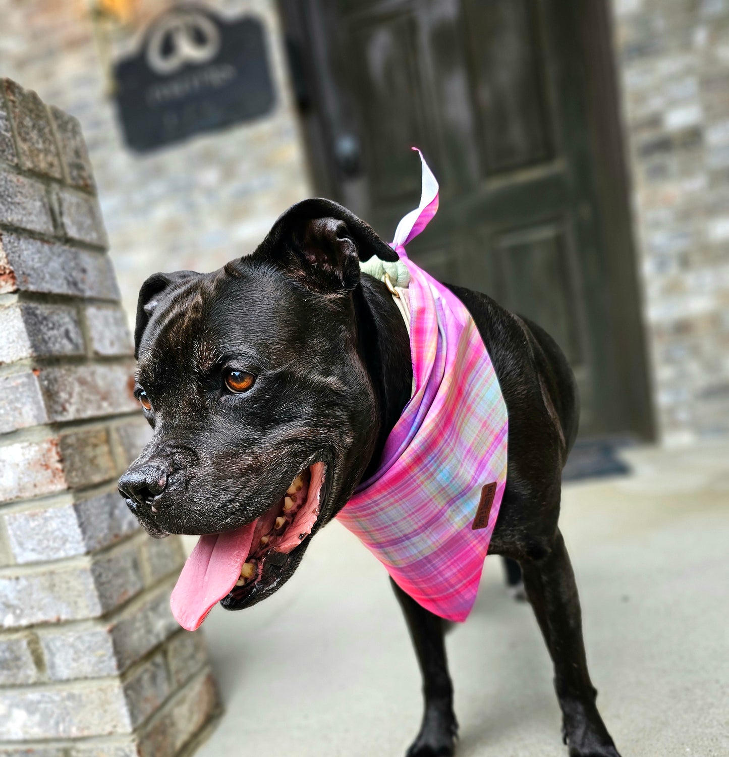 Fall Sunset Plaid Dog Bandana