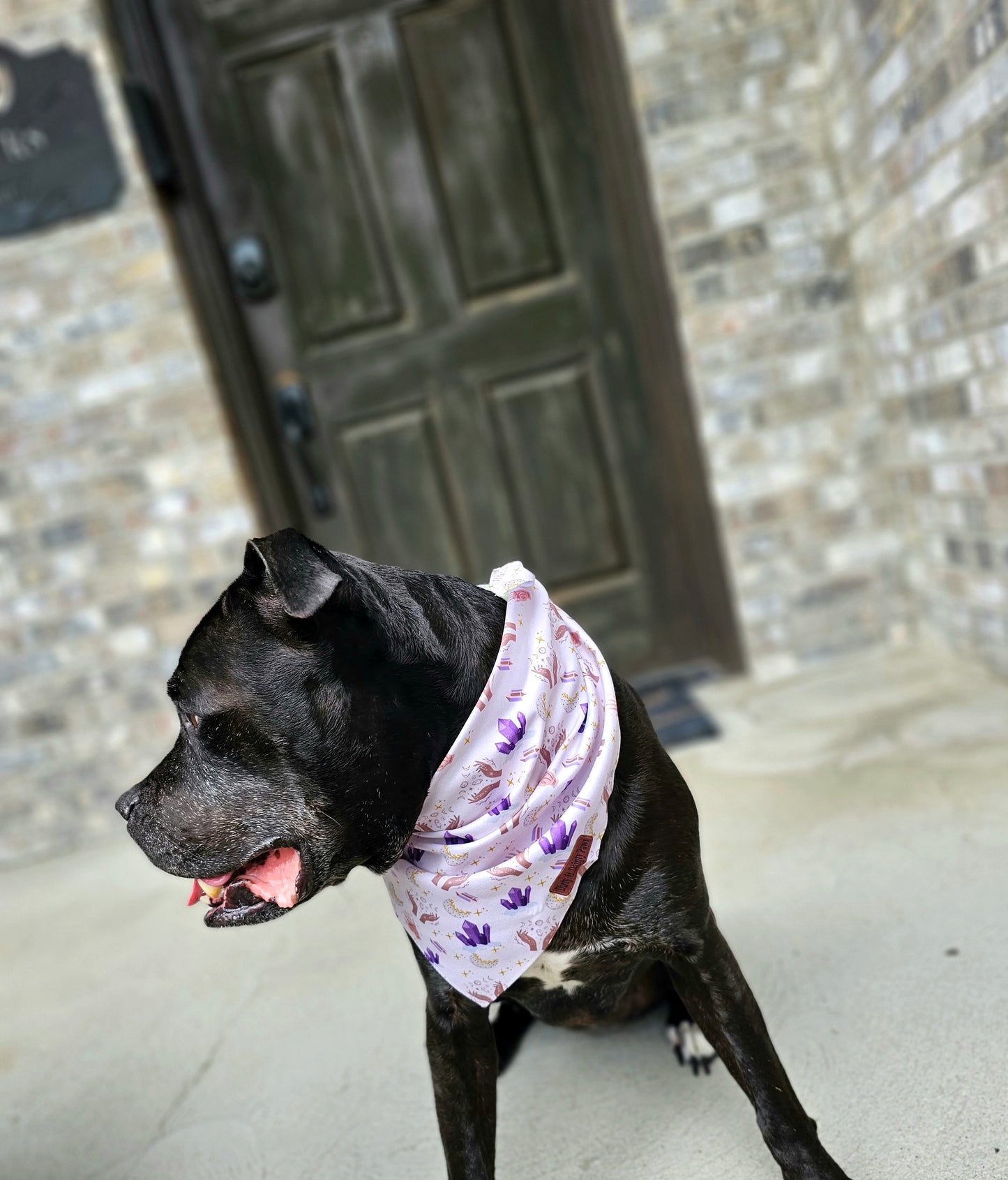 Into The Mystic Dog Bandana