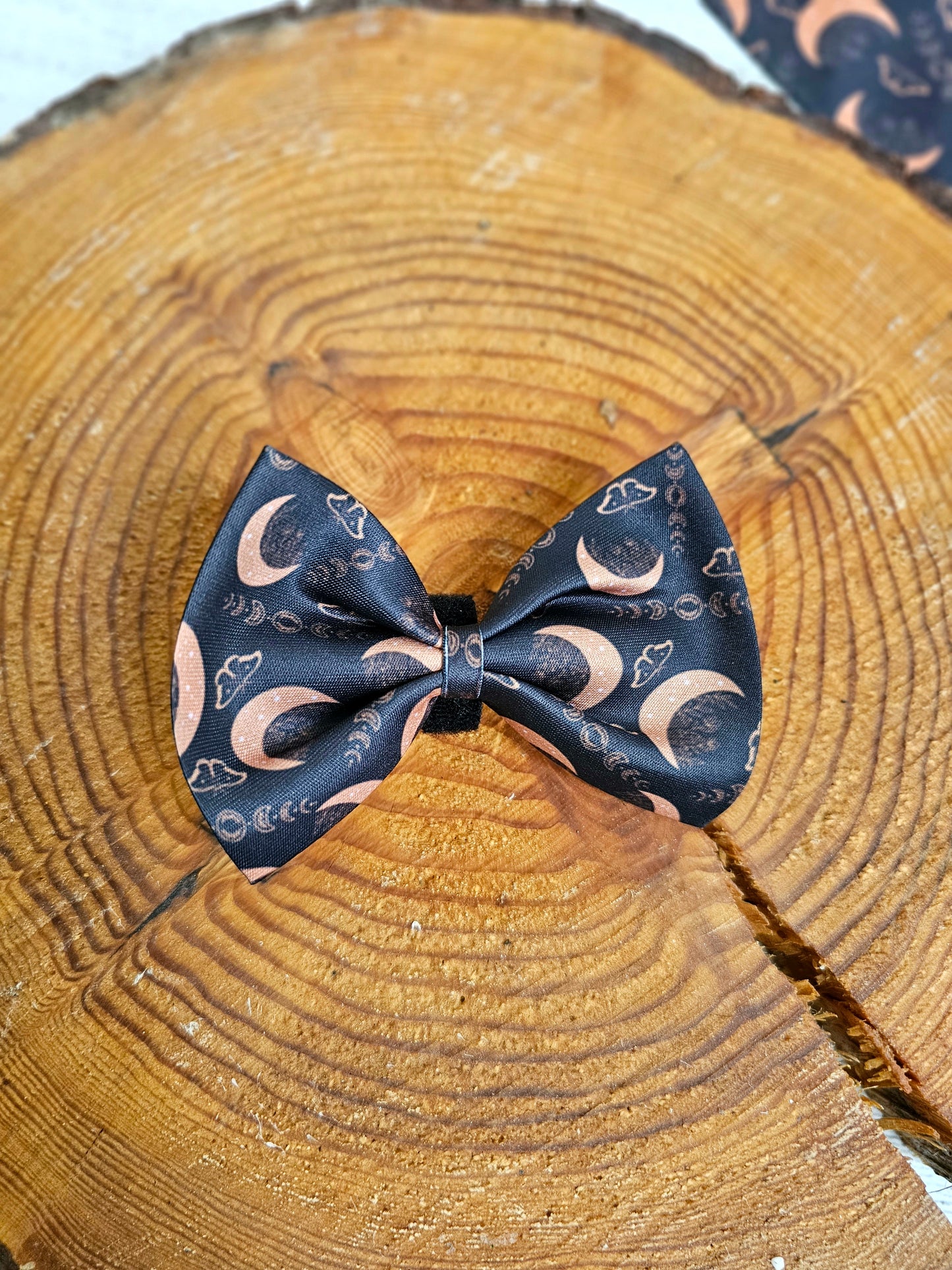 Boho Nights Dog Bow Tie