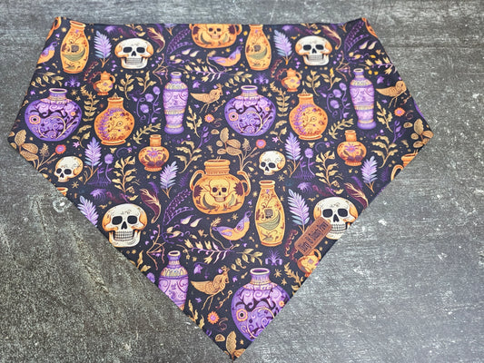 Skulls and Potions Dog Bandana