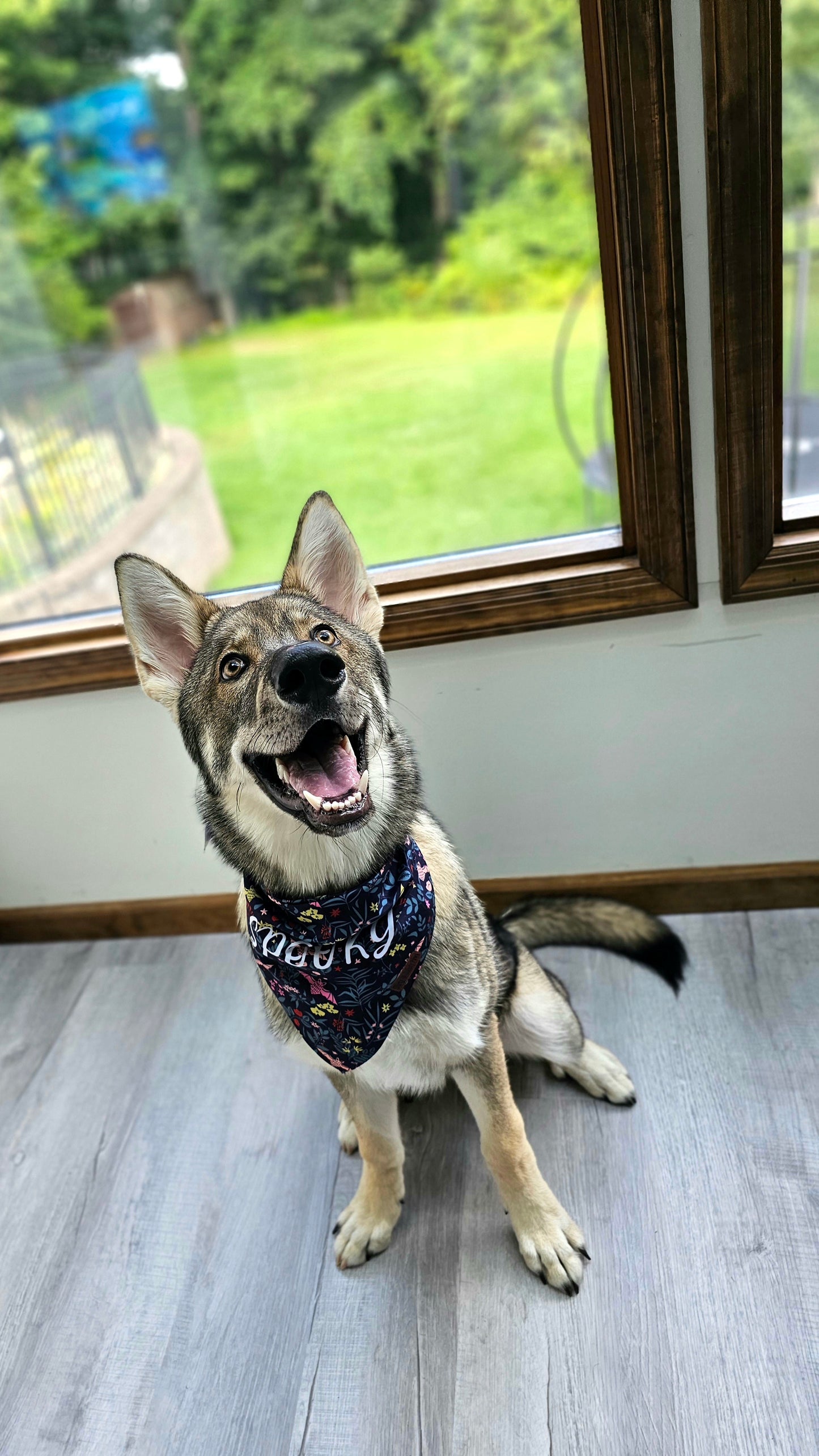 Spooky Bat Garden Dog Bandana