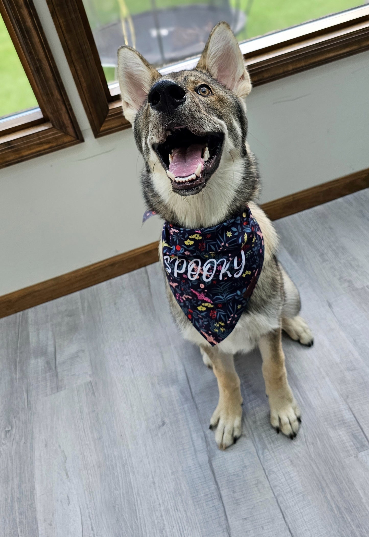 Spooky Bat Garden Dog Bandana