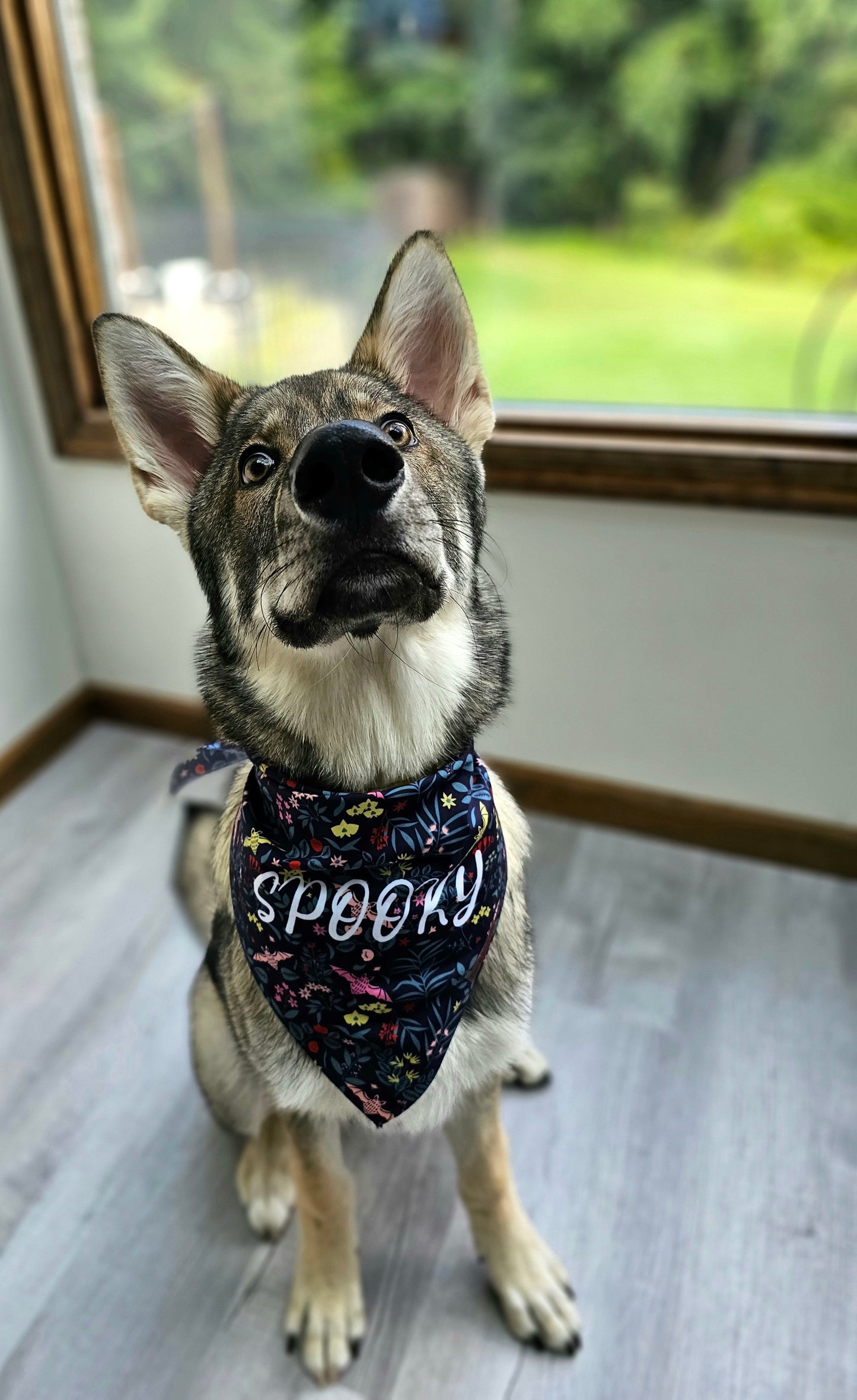 Spooky Bat Garden Dog Bandana