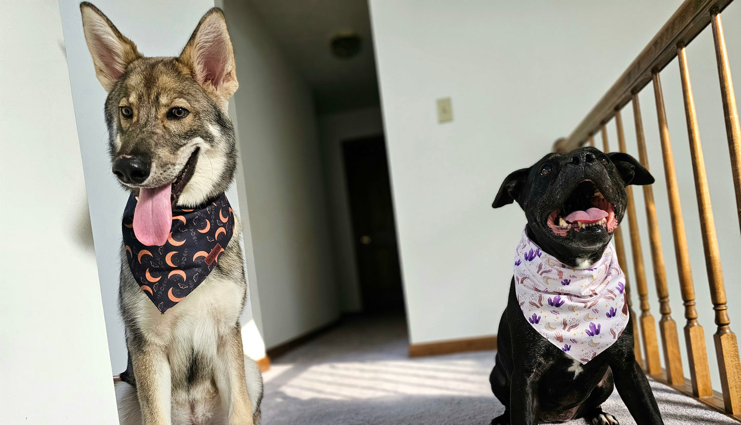 Into The Mystic Dog Bandana