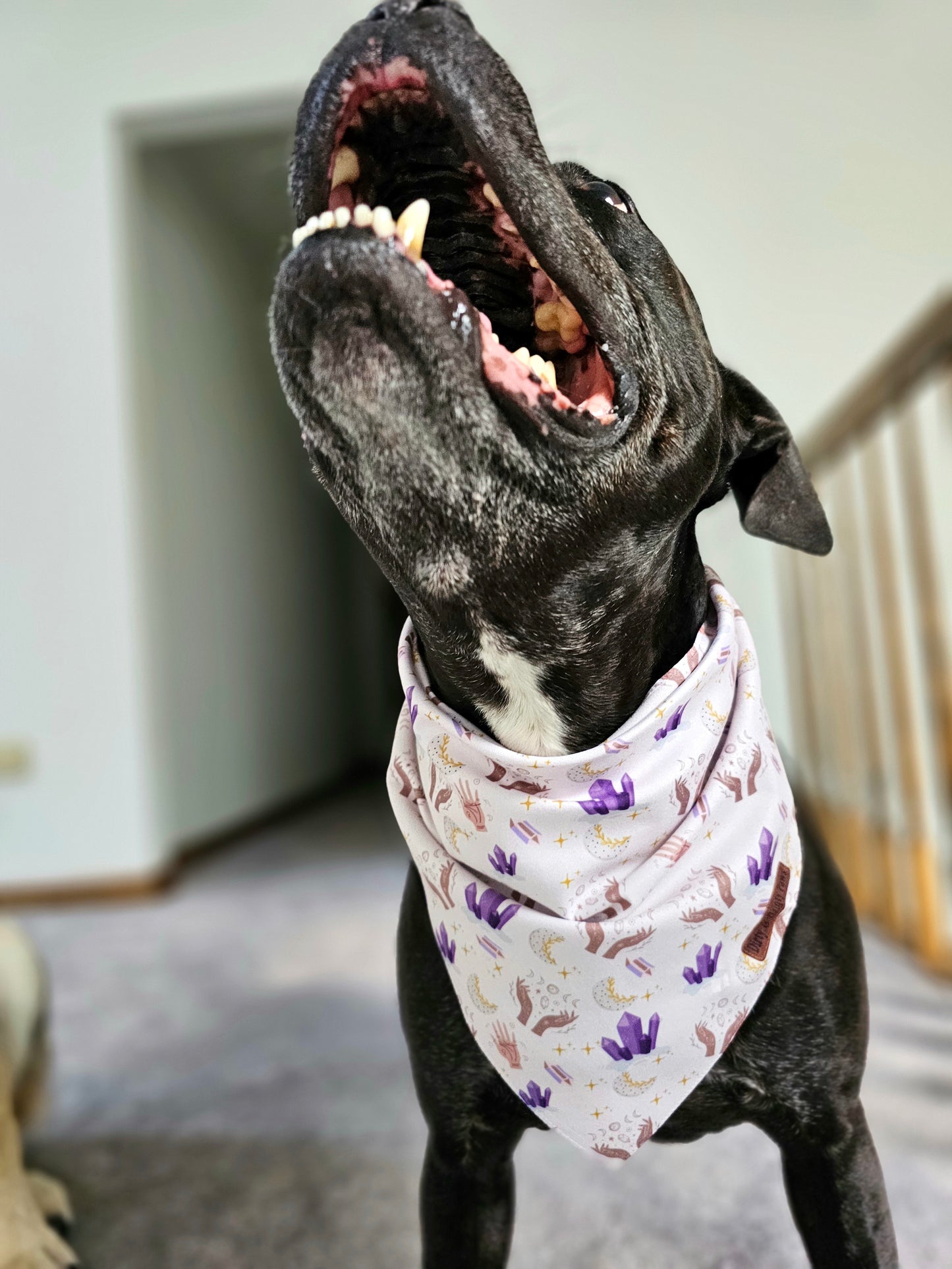 Into The Mystic Dog Bandana