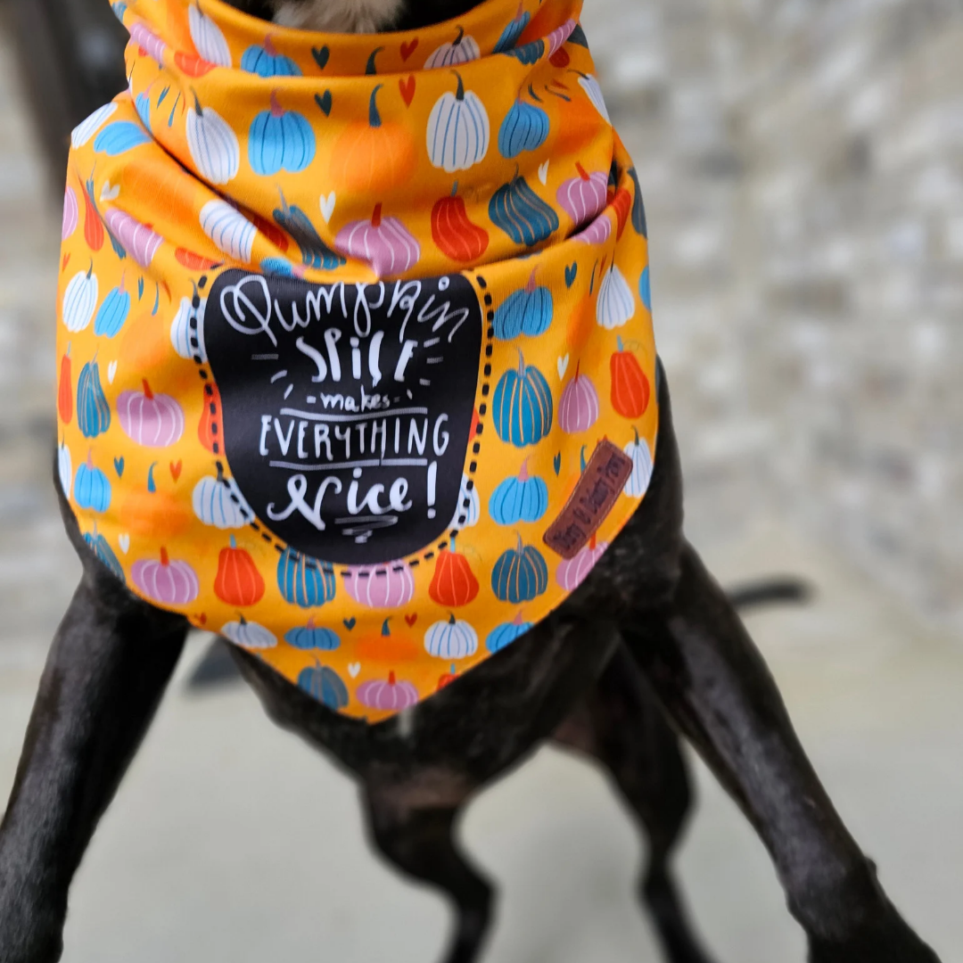 Pumpkin Spice and Everything Nice Dog Bandana