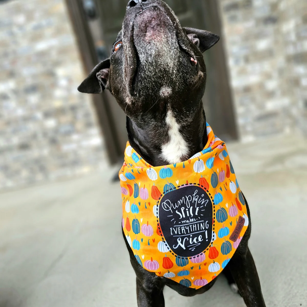Pumpkin Spice and Everything Nice Dog Bandana