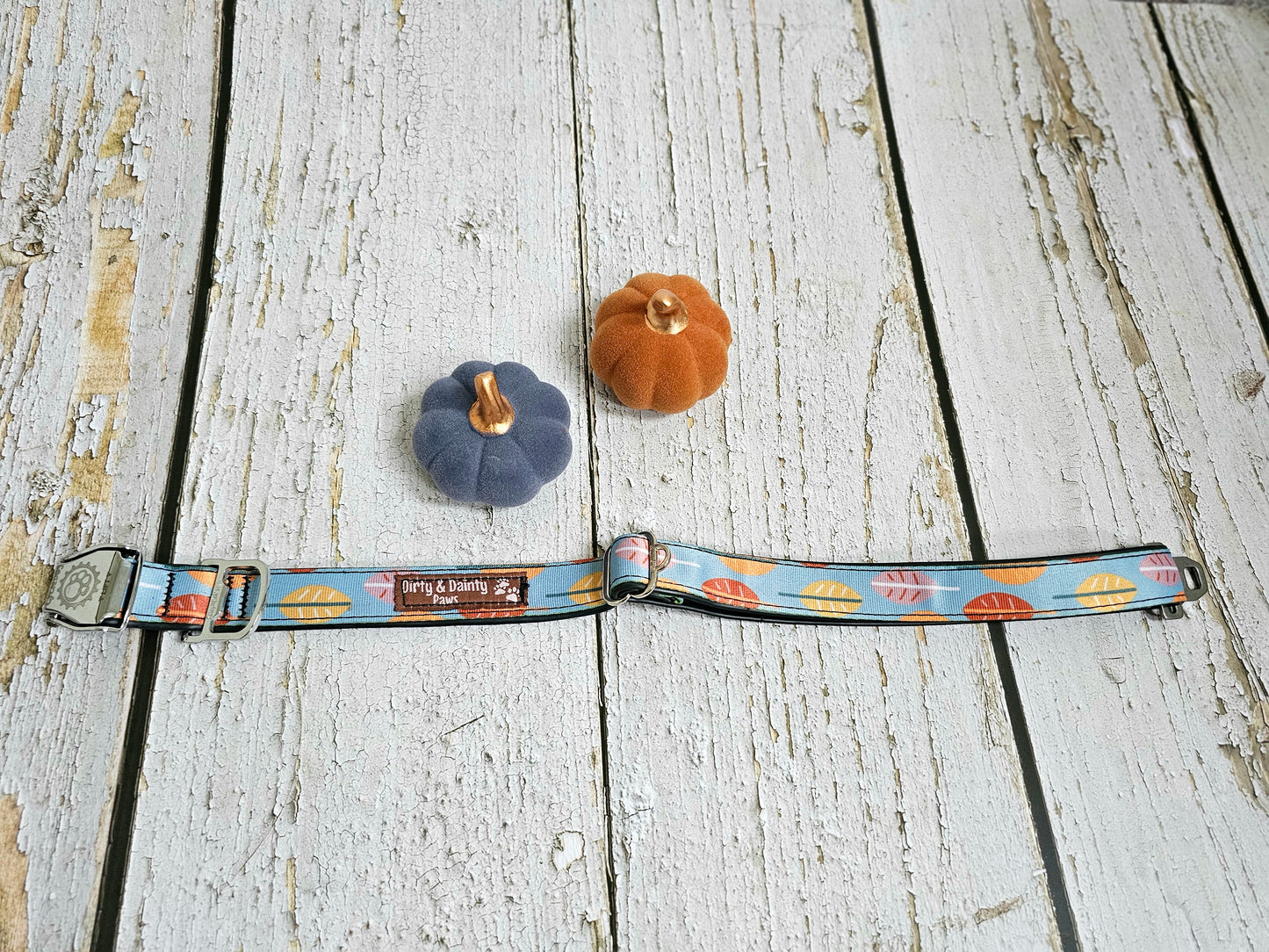 Boho Fall Leaves Dog Collar | Waterproof, NO Stink, Eco-Friendly