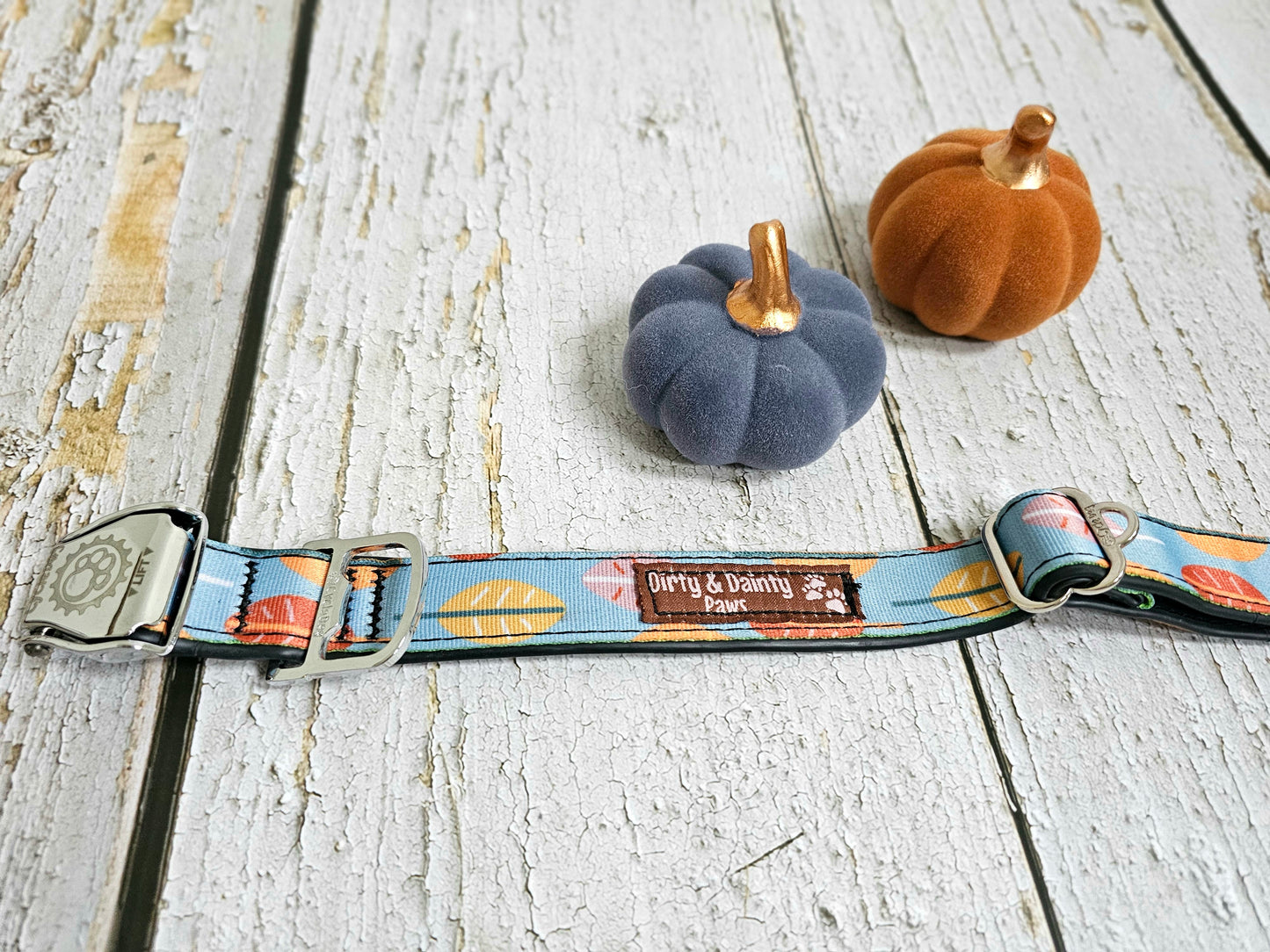Boho Fall Leaves Dog Collar | Waterproof, NO Stink, Eco-Friendly