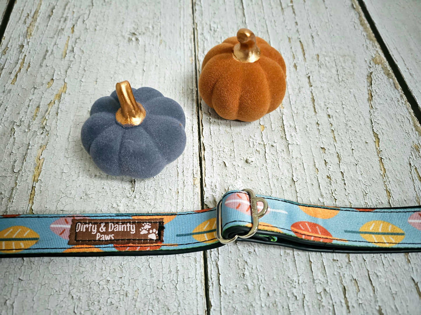 Boho Fall Leaves Dog Collar | Waterproof, NO Stink, Eco-Friendly