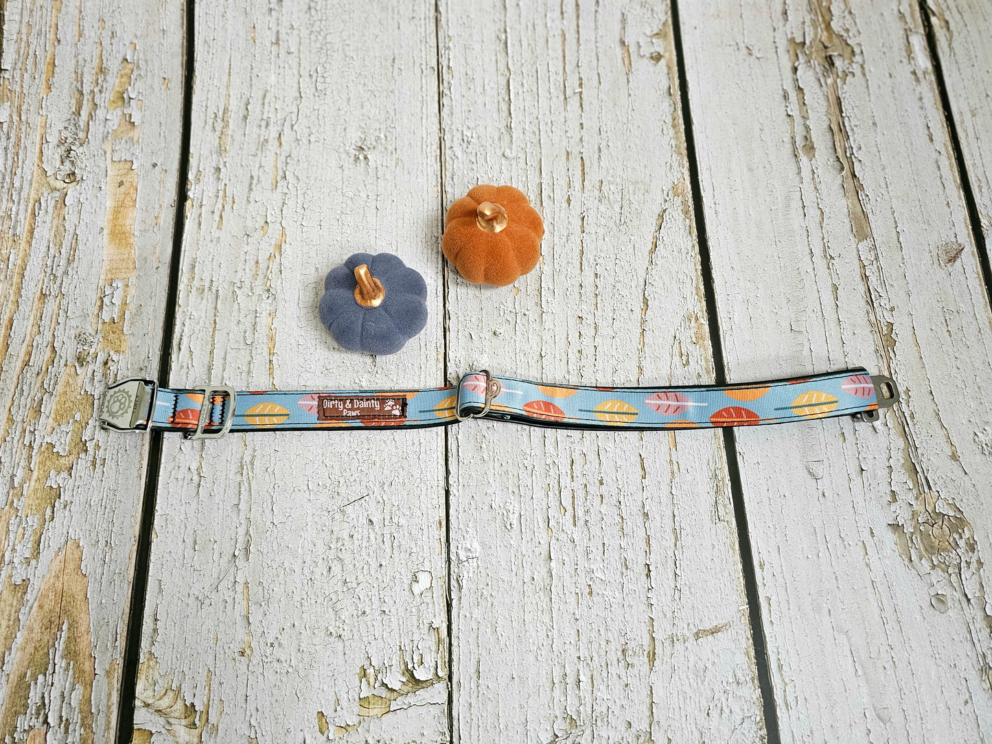 Boho Fall Leaves Dog Collar | Waterproof, NO Stink, Eco-Friendly