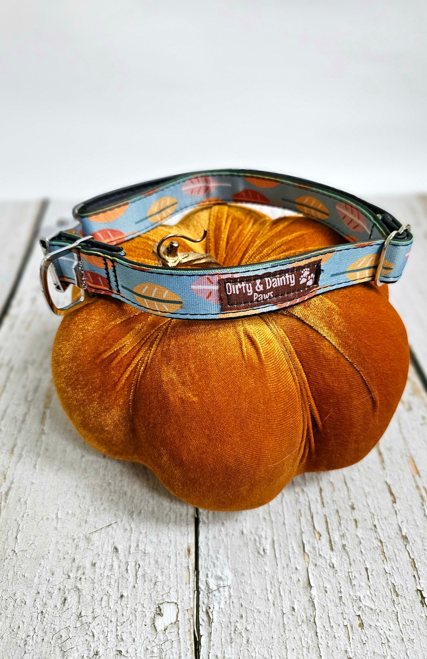Boho Fall Leaves Dog Collar | Waterproof, NO Stink, Eco-Friendly