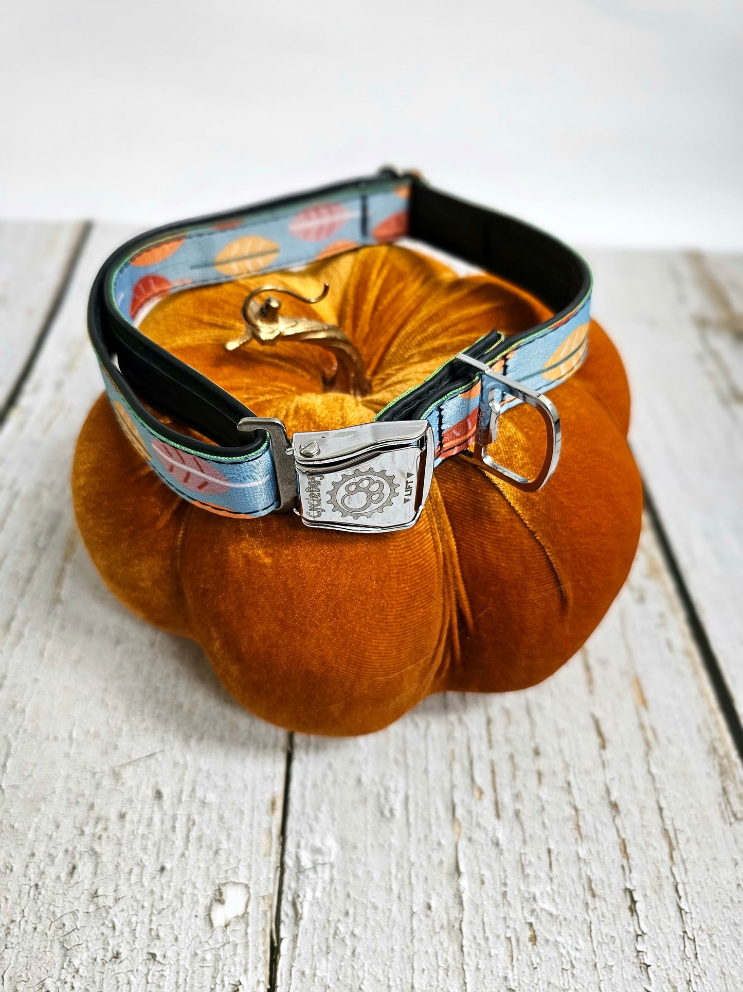 Boho Fall Leaves Dog Collar | Waterproof, NO Stink, Eco-Friendly
