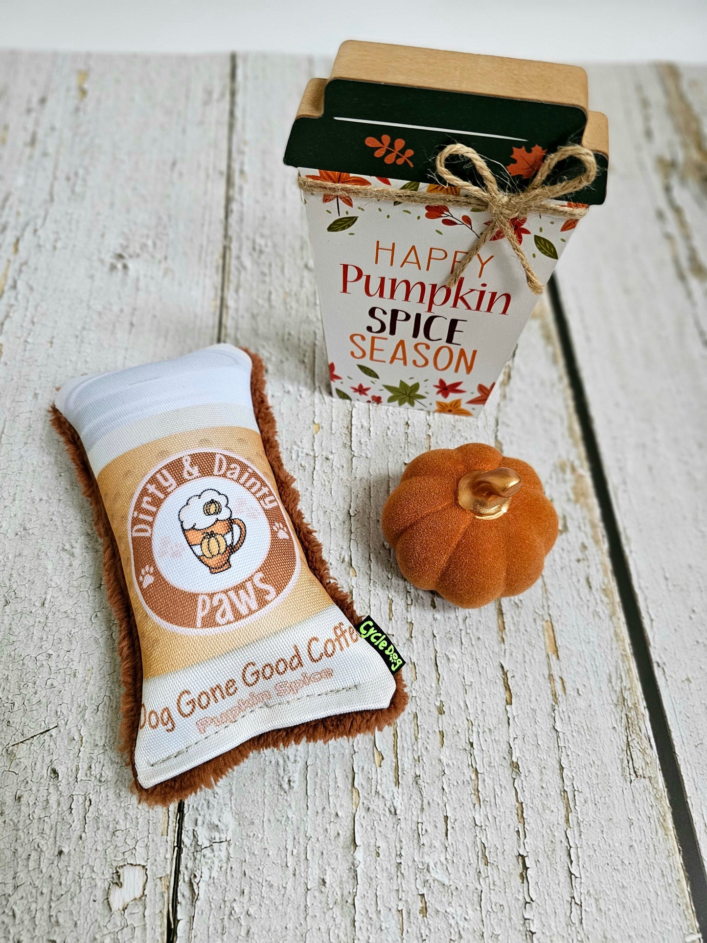 Pupkin Spice Eco-friendly recycled filling dog toy