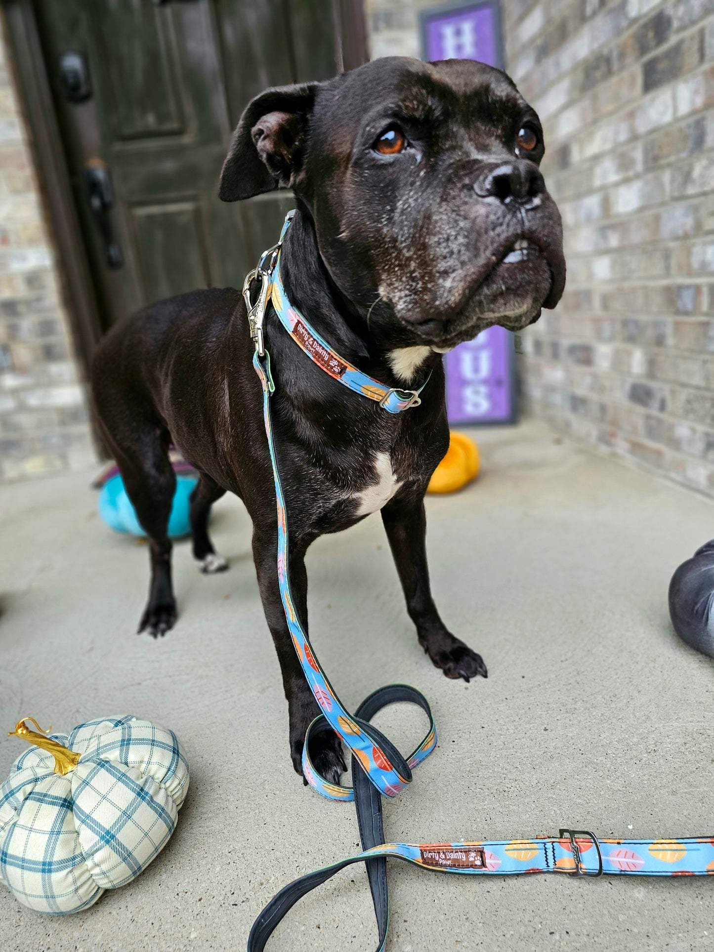 Boho Fall Leaves Dog Leash | Waterproof, NO Stink, Eco-Friendly