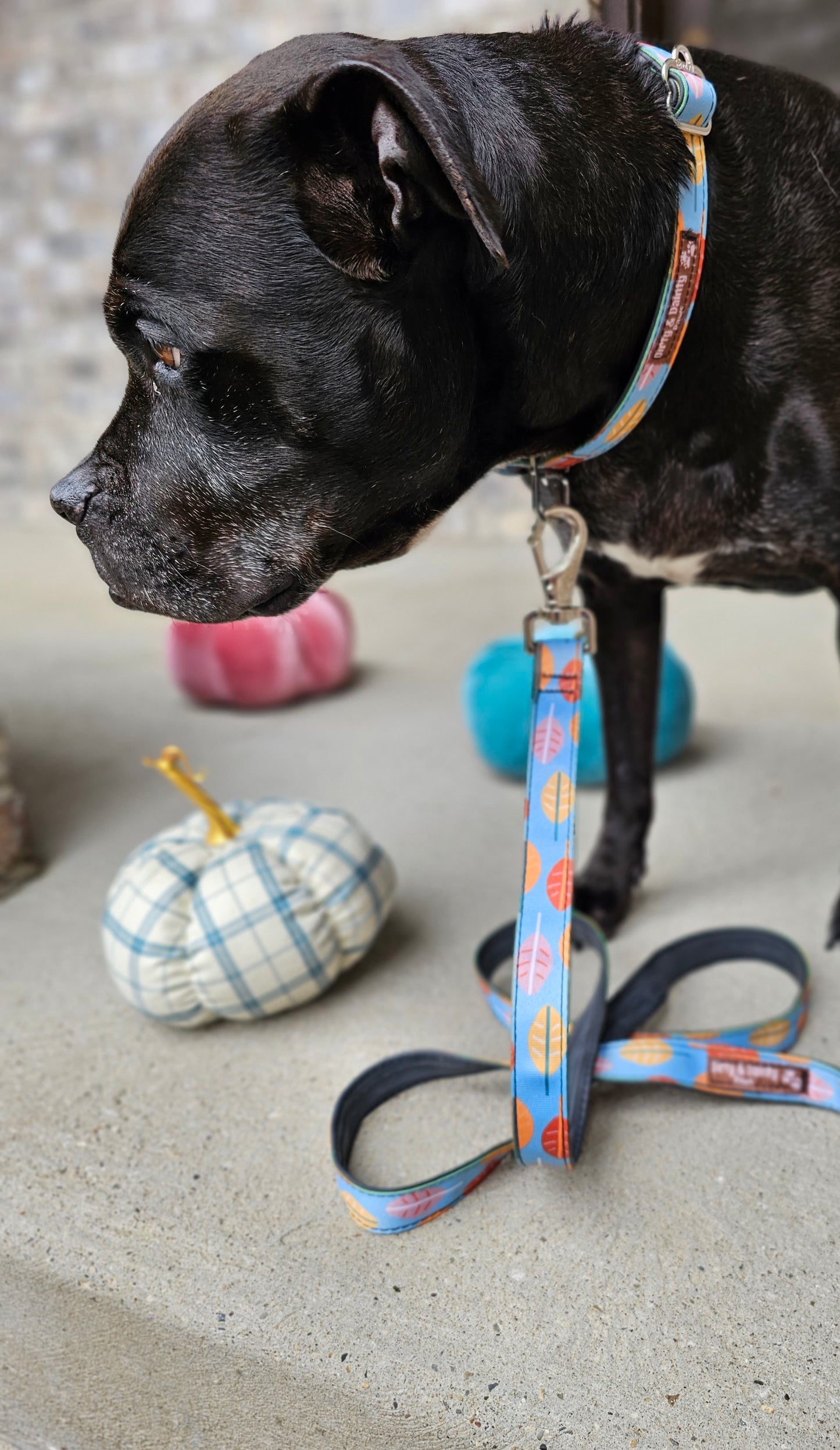 Boho Fall Leaves Dog Leash | Waterproof, NO Stink, Eco-Friendly