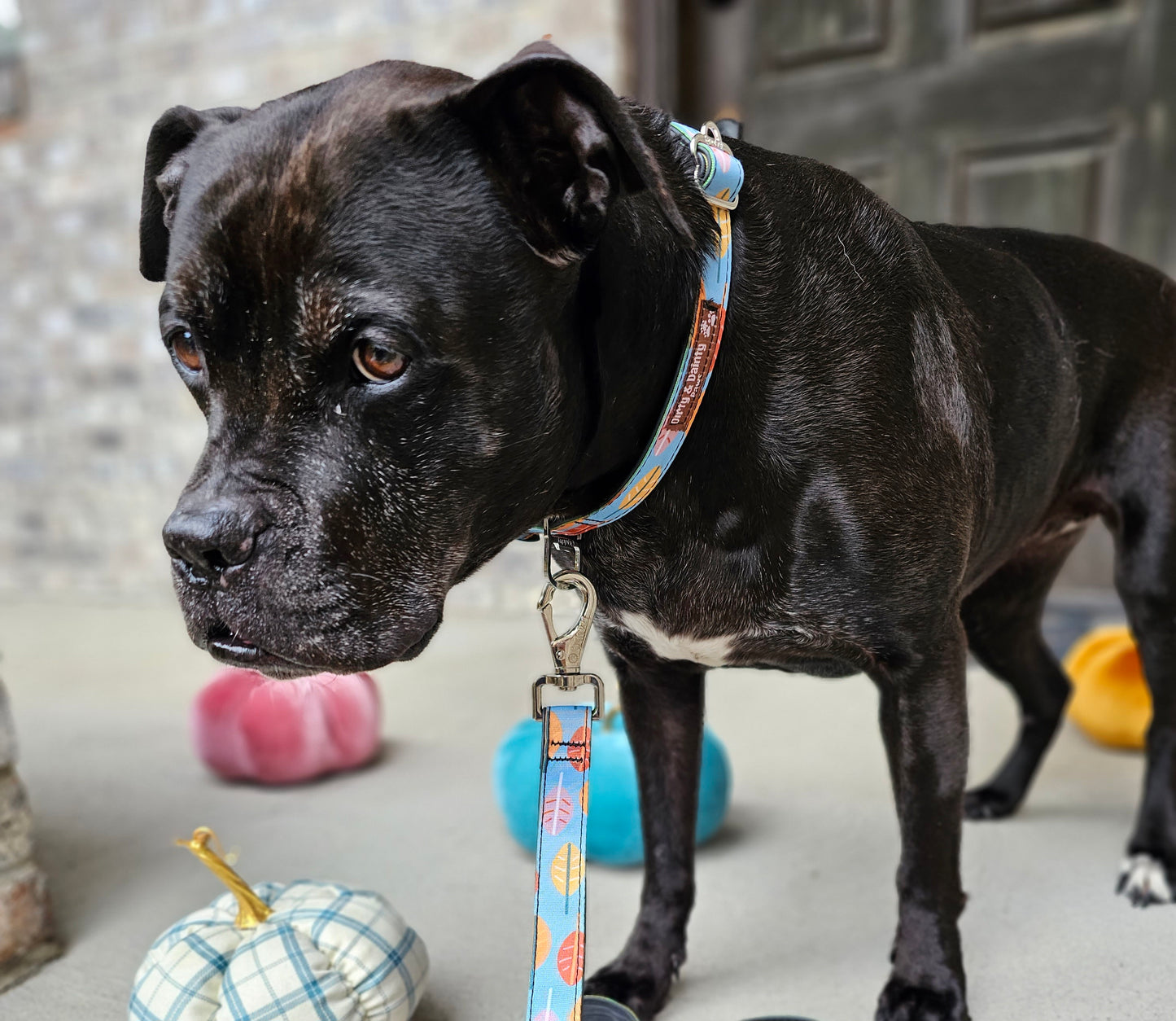Boho Fall Leaves Dog Leash | Waterproof, NO Stink, Eco-Friendly
