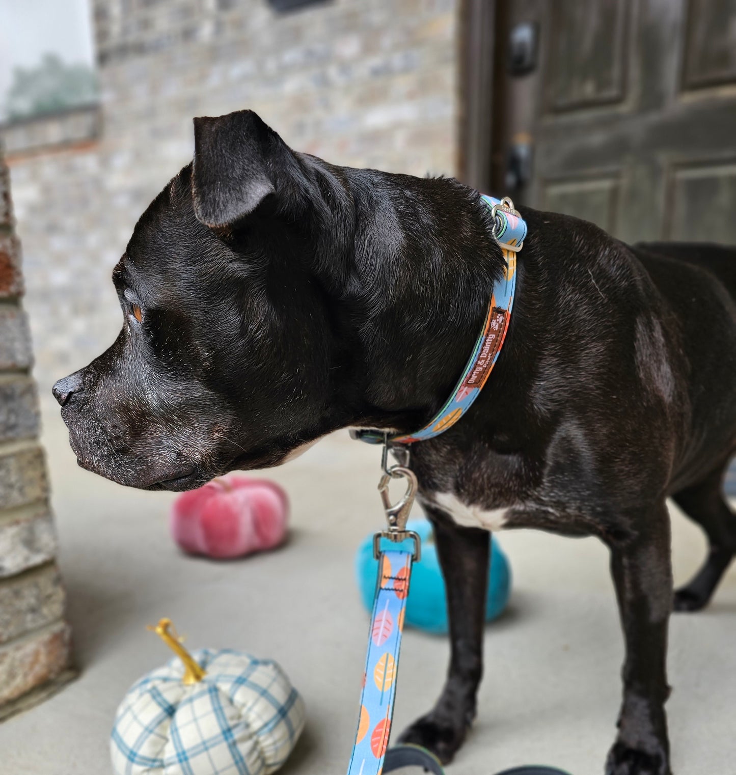 Boho Fall Leaves Dog Leash | Waterproof, NO Stink, Eco-Friendly