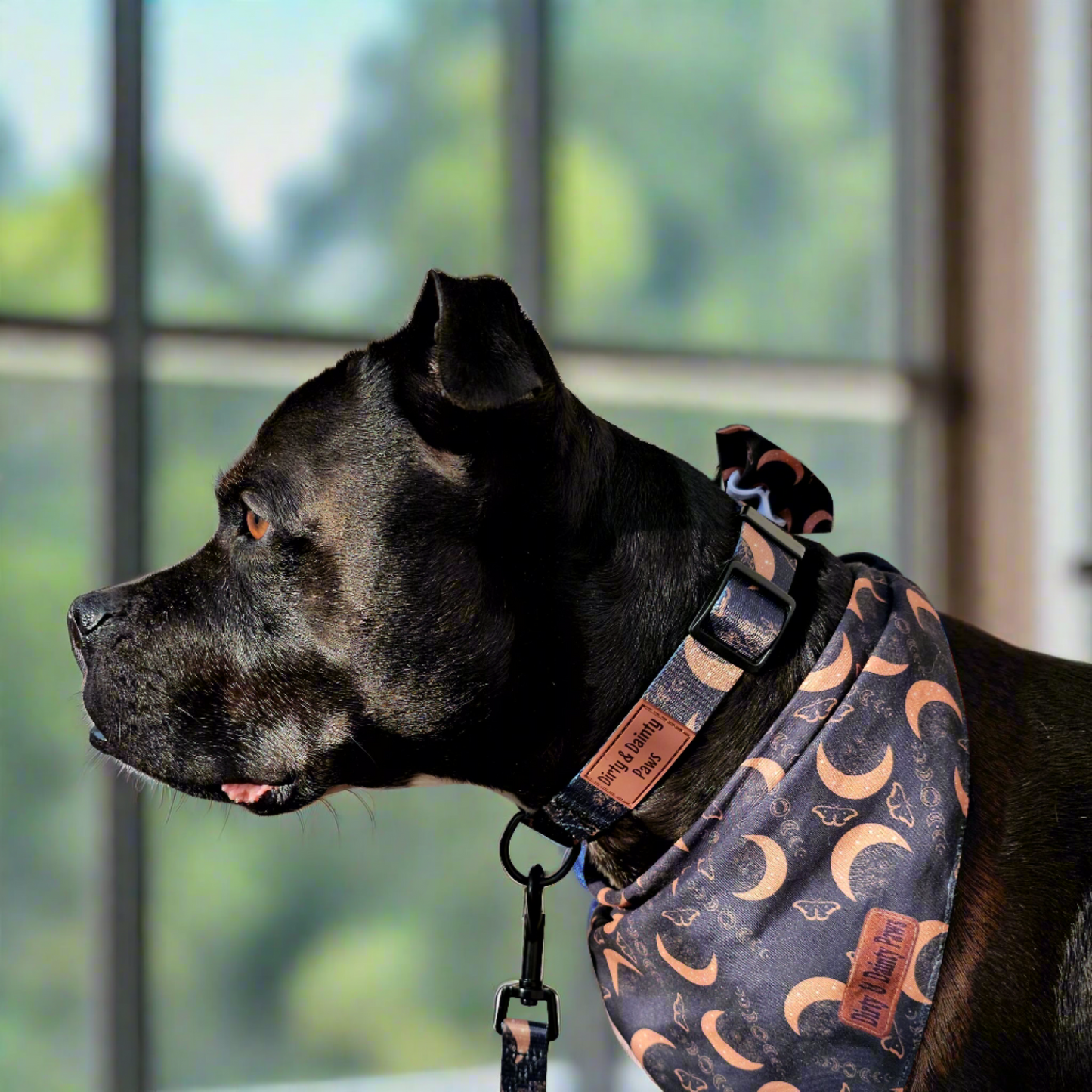 Boho Nights Collar Celestial Collar with paw print buckle. Moon, moths and crystal prints. Rubber logo tag