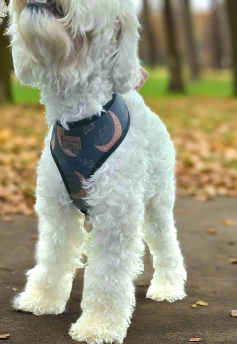Moons and Moths Lunar Boho Nights Chest Harness | Comfortable, Durable & Machine Washable
