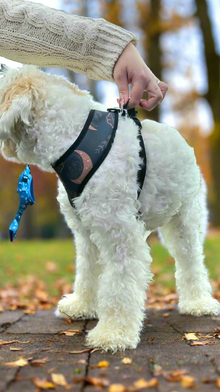 Moons and Moths Lunar Boho Nights Chest Harness | Comfortable, Durable & Machine Washable