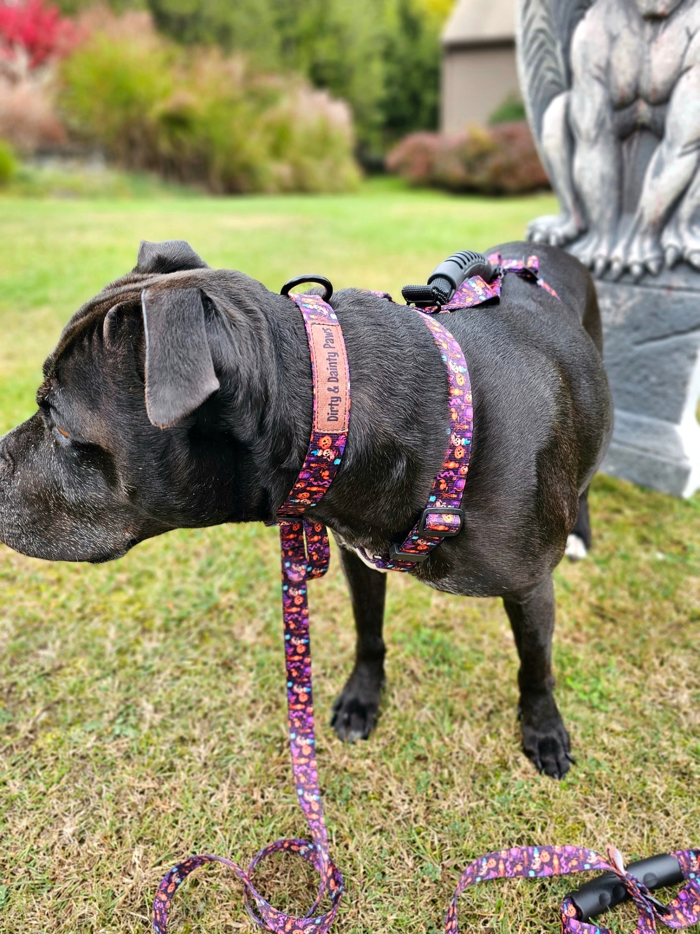 Spooky Jack-O-lantern Dog Collar