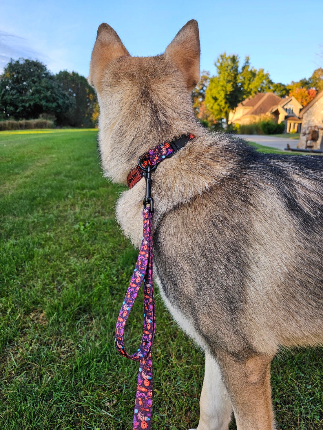 Spooky Jack-O-Lantern Dog leash with Comfort Grip and Traffic Handle
