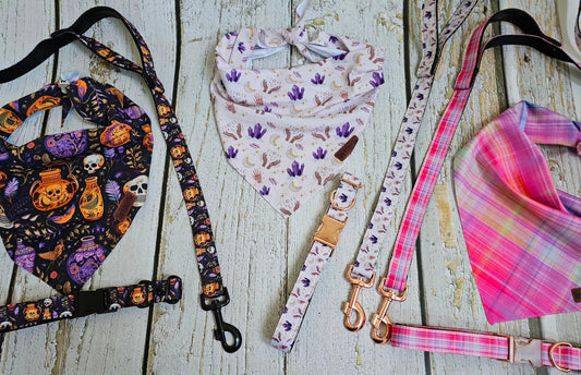 Sunset Pink Plaid Nylon Dog Leash with Traffic Handle| Durable Dog Leash| 6 ft Dog Leash