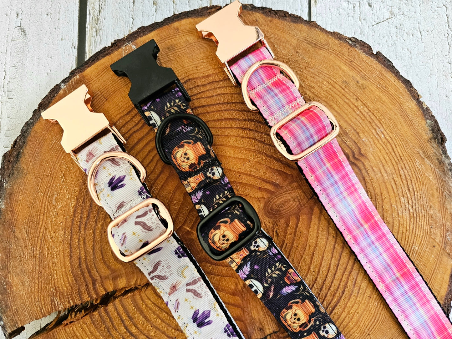 Skulls and Potions Dog Collar