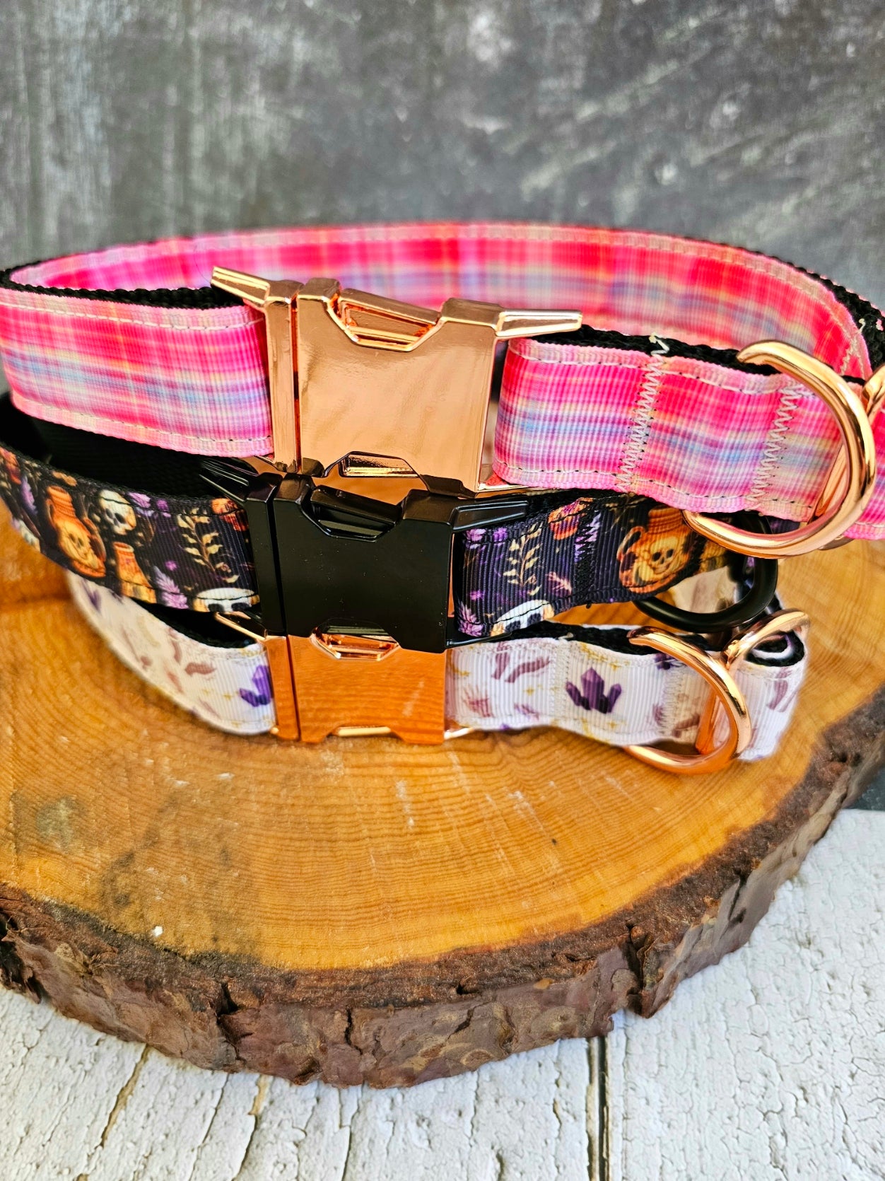 Skulls and Potions Dog Collar