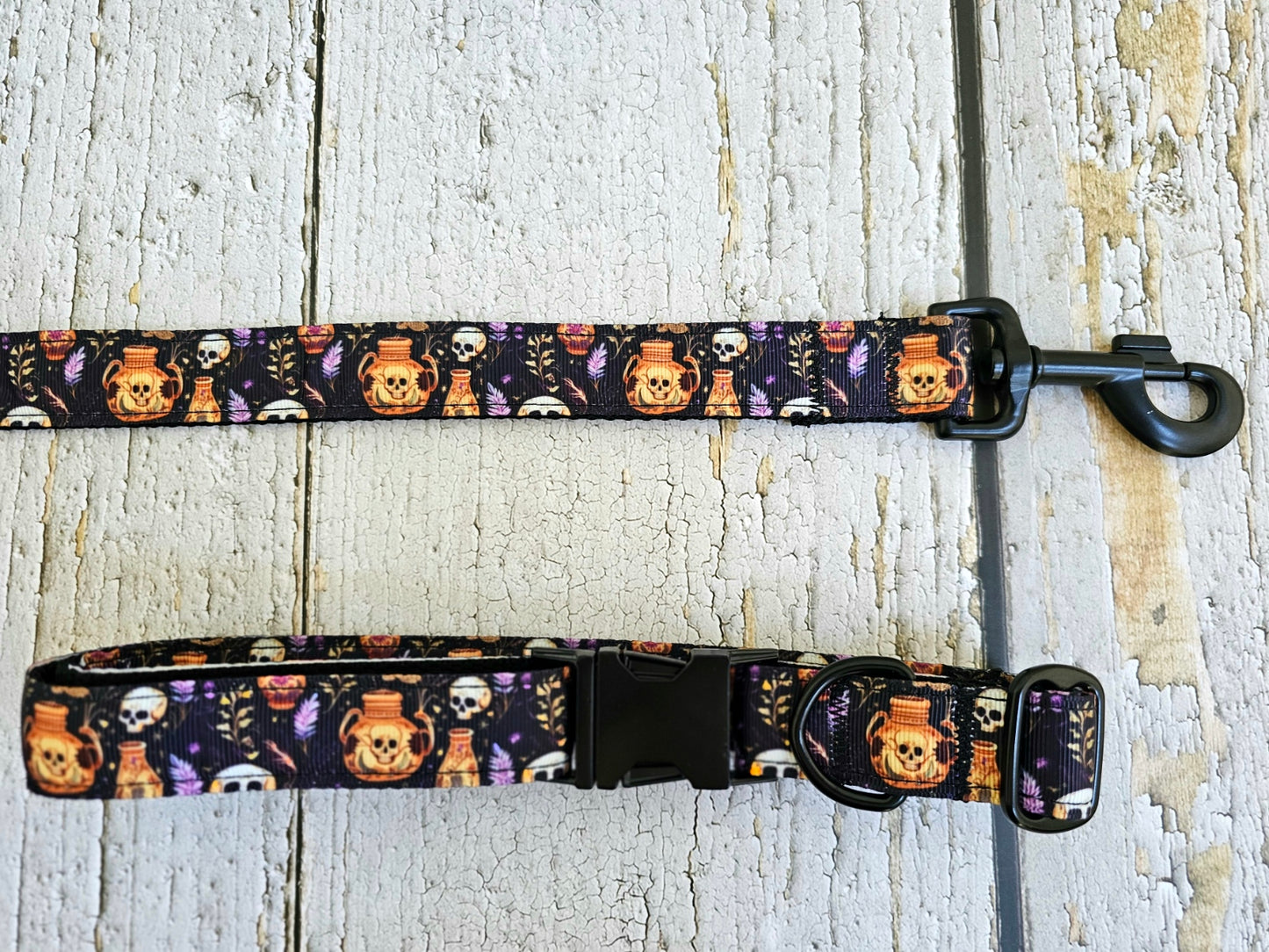 Skulls and Potions Dog Leash with Traffic Handle
