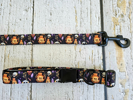 Skulls and Potions Nylon Dog Leash with Traffic Handle