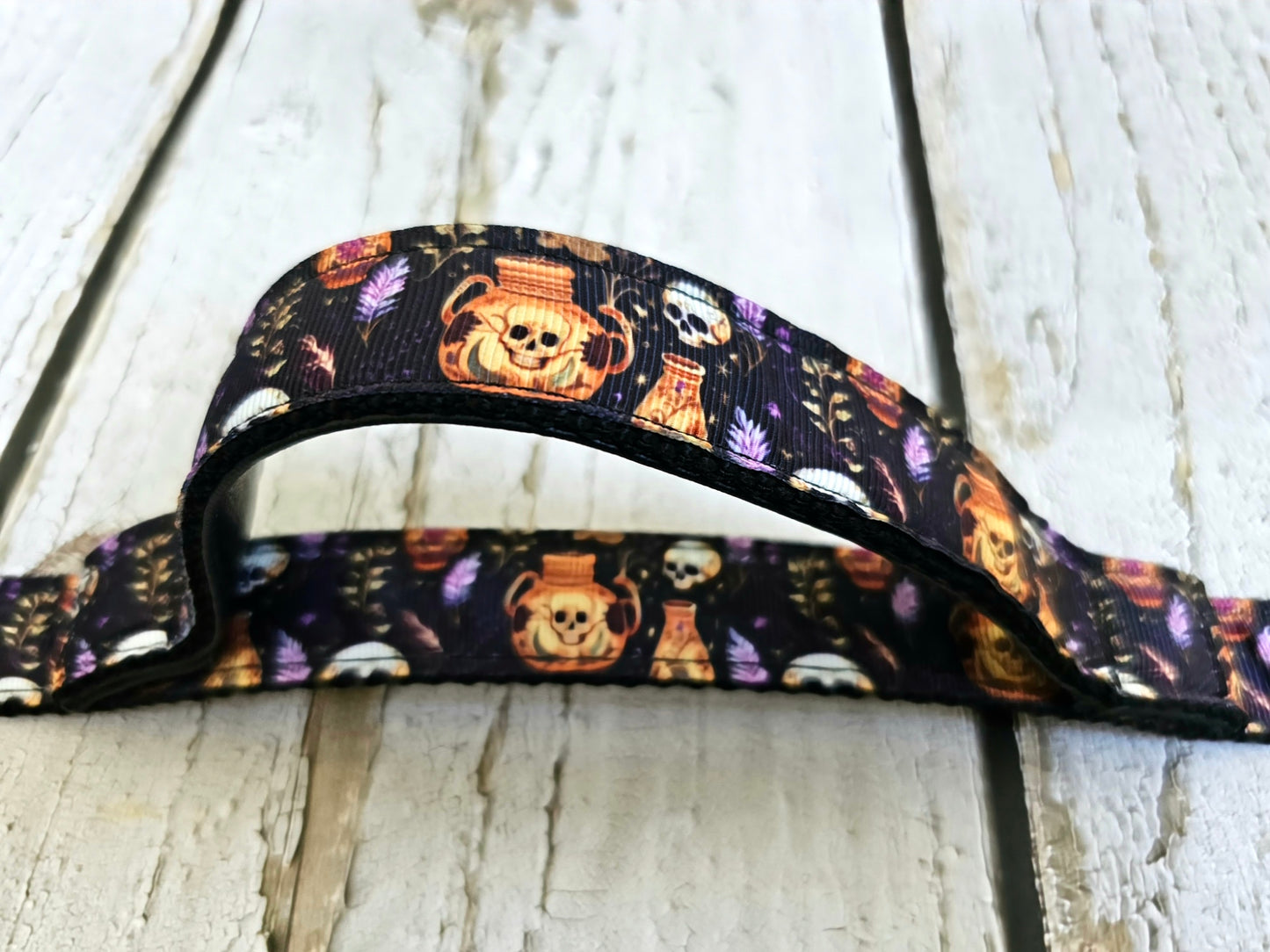 Skulls and Potions Dog Leash with Traffic Handle