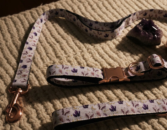 Into The Mystic Crystals and Lunar Moon Dog Leash with Traffic Handle