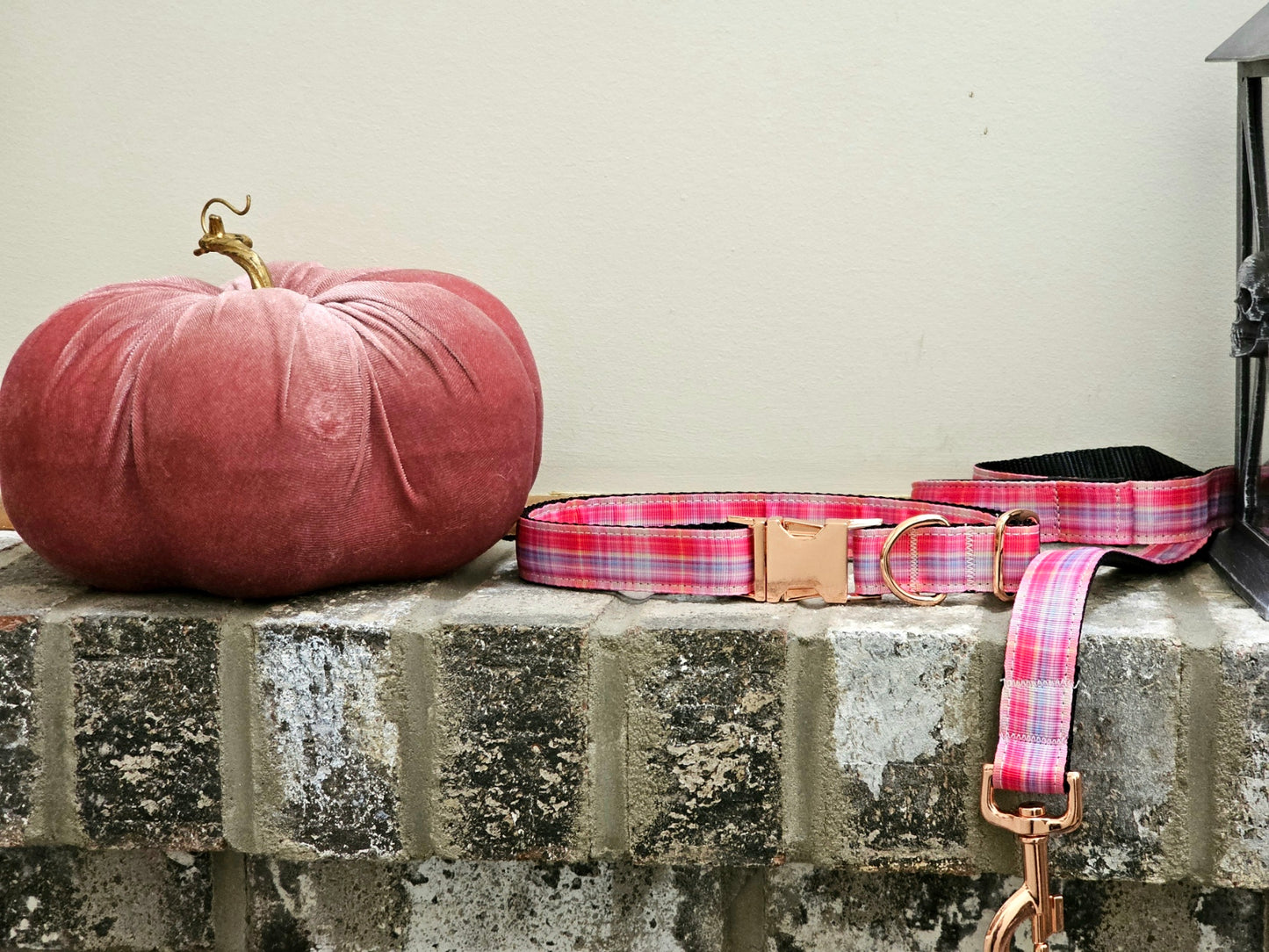 Fall Sunset Bundle| Collar and Leash Set| FREE Easy Tie Bandana