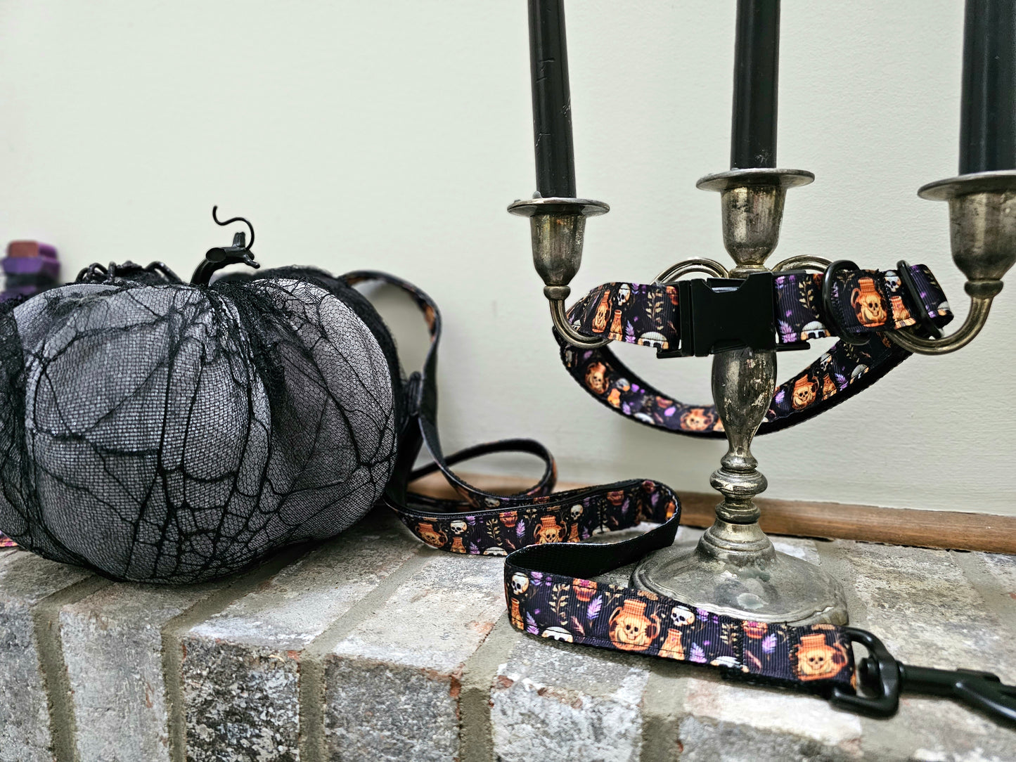 Skulls and Potions Dog Leash with Traffic Handle