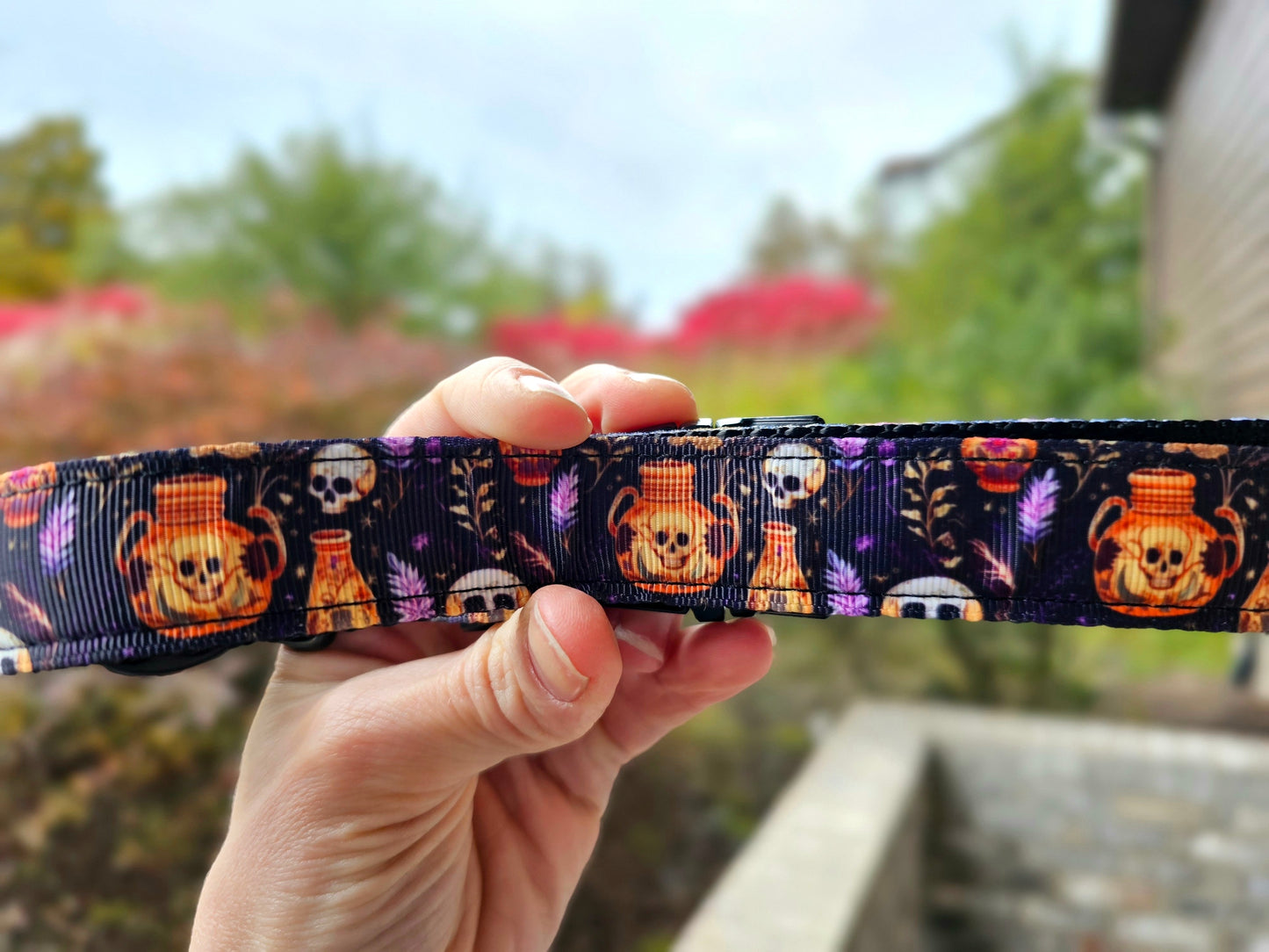 Skulls and Potions Dog Collar