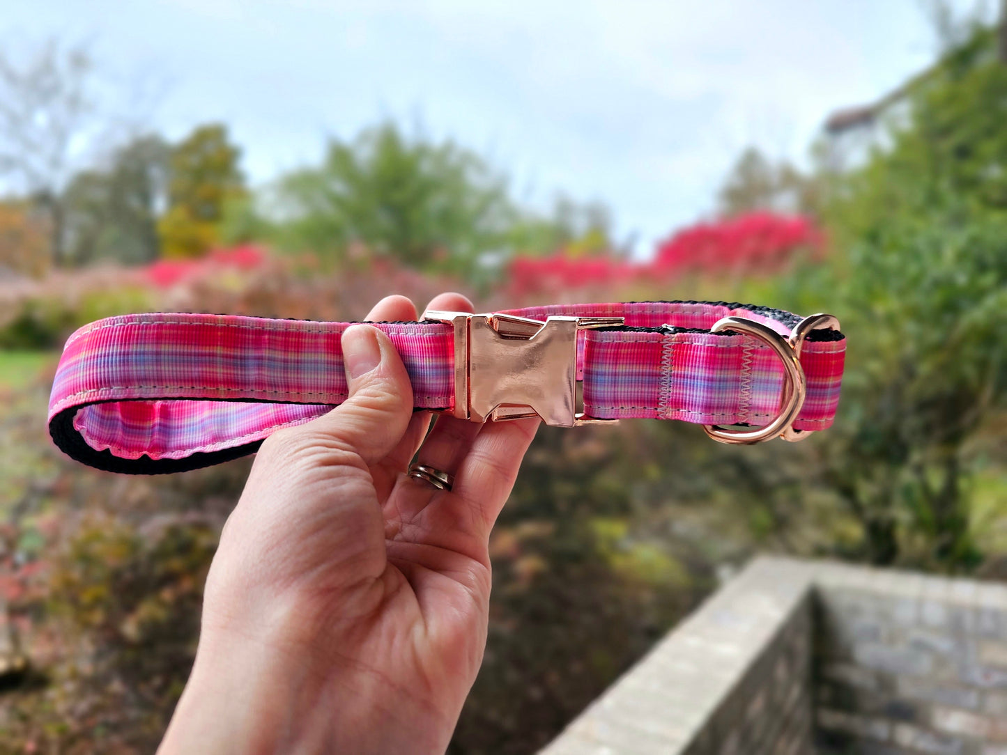 Sunset Plaid Dog Collar