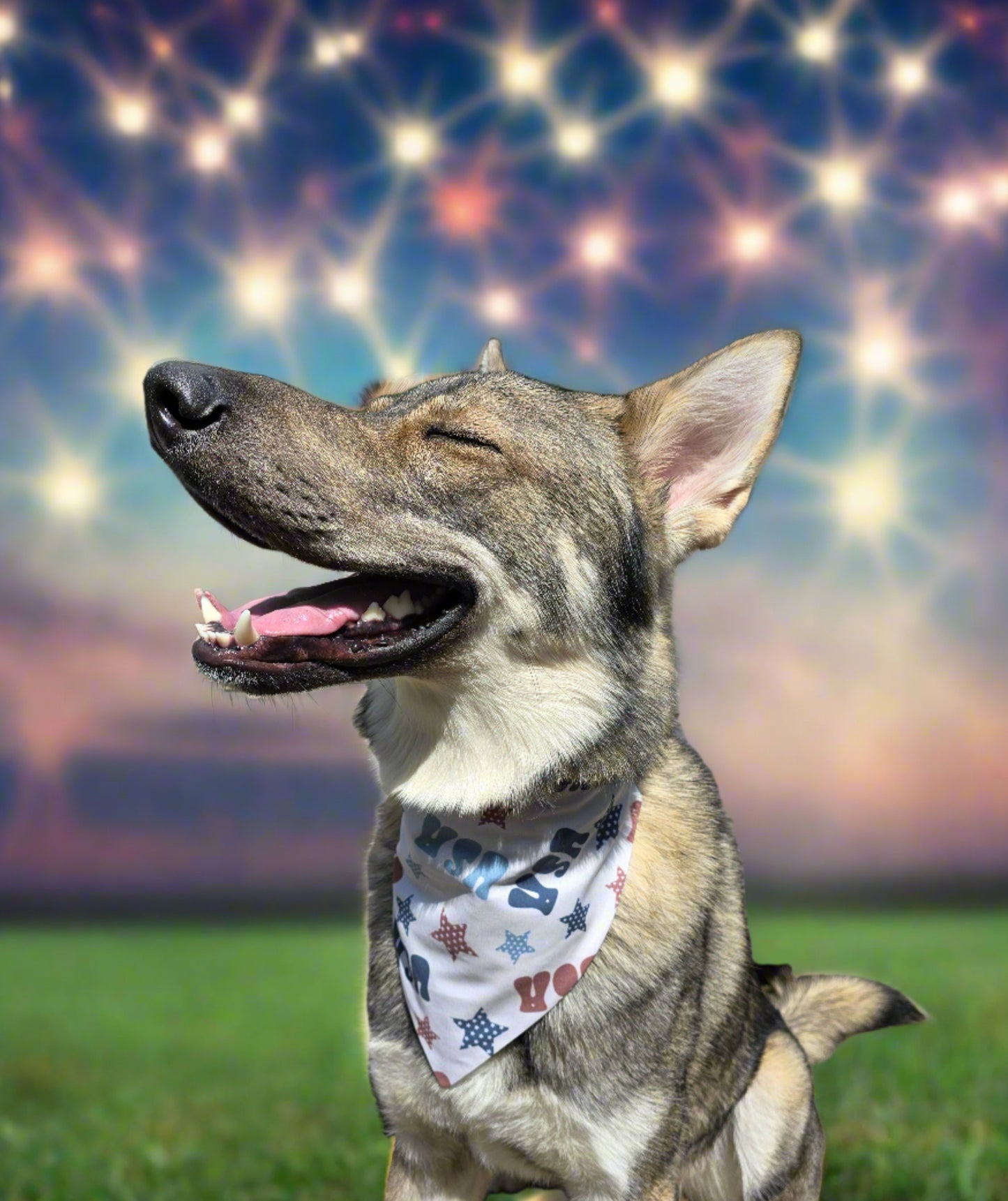 USA/BBQ Reversible Dog Bandana Scrunchie Style