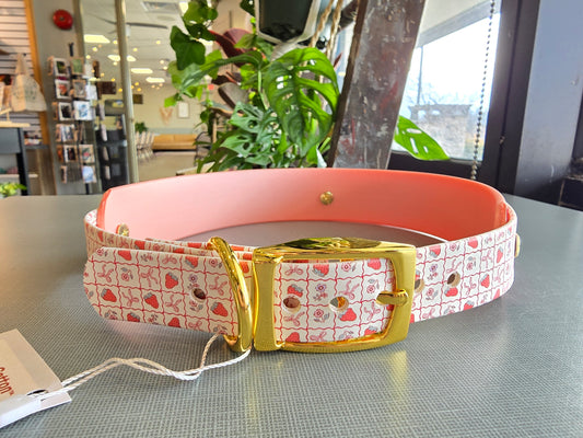Strawberries & Bows Double Layer Biothane Dog Collar – Waterproof Stinkproof
