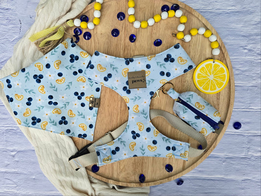 Blueberries and Lemons Neoprene Waste Bag Holder