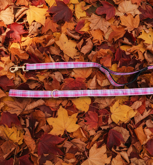Sunset Pink Plaid Nylon Dog Leash with Traffic Handle| Durable Dog Leash| 6 ft Dog Leash