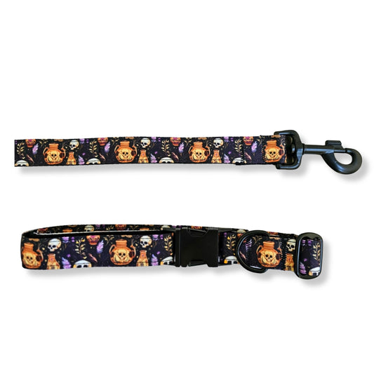 Skulls and Potions Nylon Dog Collar| Durable Dog Collar| Halloween Dog Collar