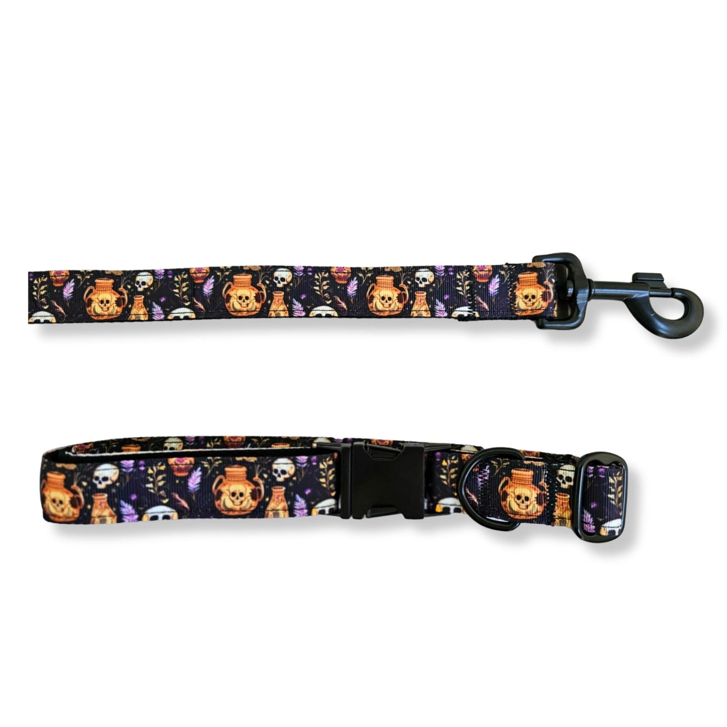 Skulls and Potions Dog Leash with Traffic Handle