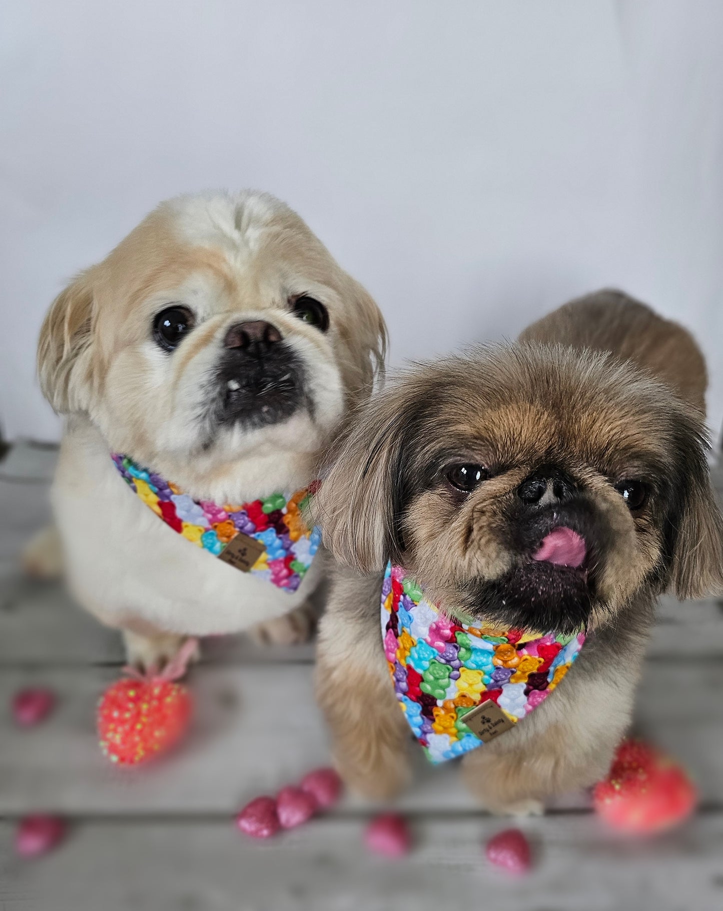 Gummy Bears Scrunchie Dog Bandana
