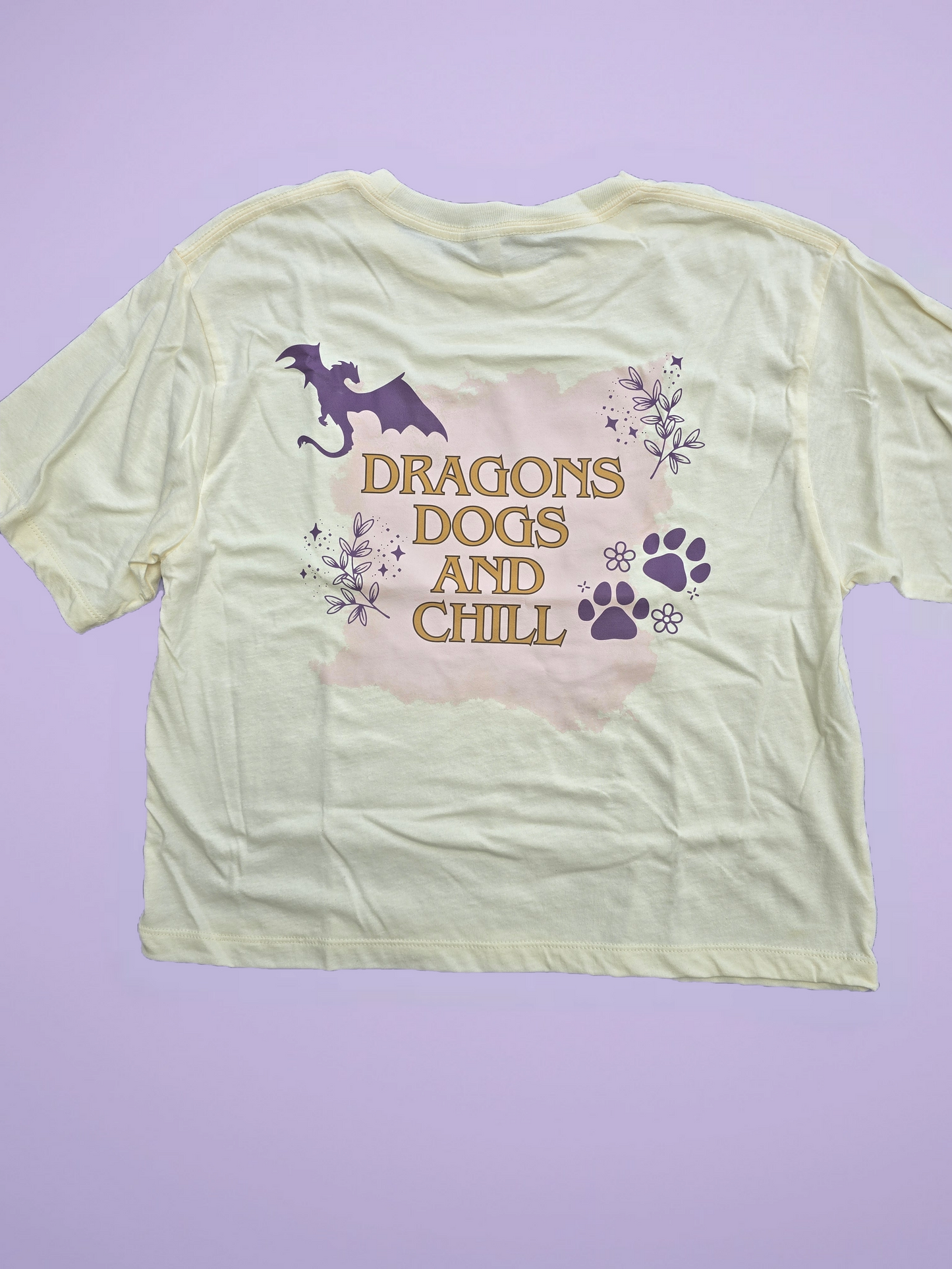 Dragons, Dogs and Chill Boxy Tshirt